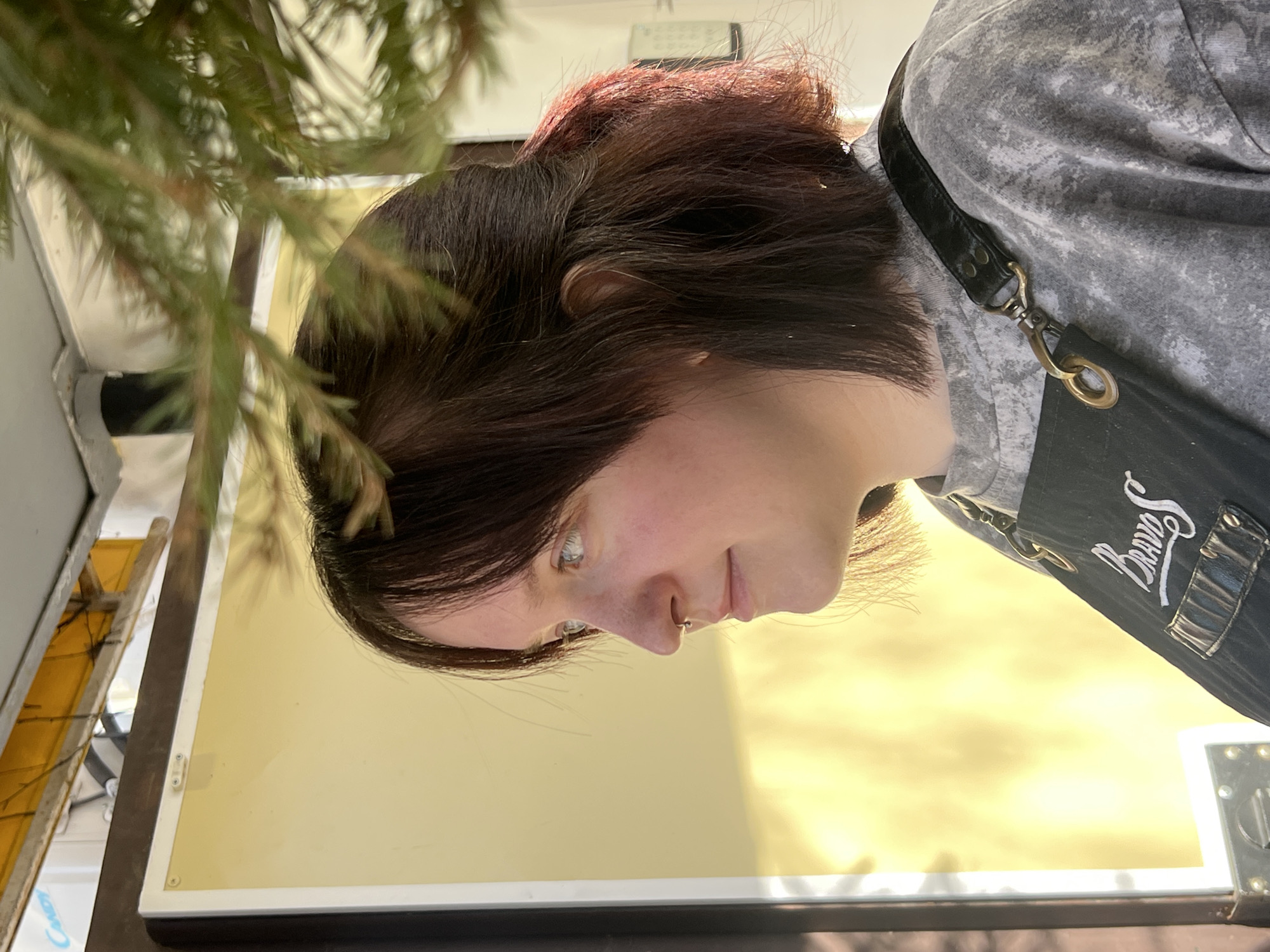 A young person with short, dark hair is captured in a medium shot, wearing a gray hoodie and a dark apron with the word "Bravo" stitched on it. The person has fair skin, light-colored eyes, and a nose ring. The background shows a bright, yellowish surface with a white frame, possibly a table or display. A green, leafy branch is visible in the upper left corner, partially obscuring the scene. Additional objects in the background include a wooden structure and other unidentified elements. This image appears to be taken indoors. There is no readily identifiable information to verify if this image was taken in Chaikovsky, Russia.