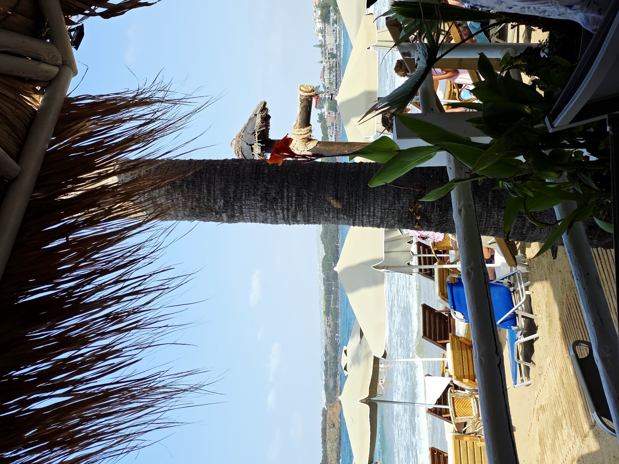 The image depicts a tropical beach scene with a view of the sea from under a thatched roof structure, possibly a beach bar or restaurant. In the foreground, the rough texture of a palm tree trunk is visible, along with its fronds obscuring the top part of the sky. A wooden post with a small thatched roof and a decorative element resembling a red leaf is also present, near the palm tree.
Beyond the immediate foreground, several rows of wooden sun loungers are arranged on the sand, some with white cushions. Some of these loungers are unoccupied, while others appear to have people sitting on them, though they are not clearly visible. Numerous beach umbrellas, mostly light-colored, are set up, providing shade.
The sea is visible in the mid-ground, with gentle waves reaching the shore. A few people are seen in the water, appearing to swim or enjoy the sea. In the background, the coastline is lined with buildings, suggesting an urban or semi-urban setting. The architecture of these buildings seems consistent with a Mediterranean coastal town. The sky is a clear blue with a few wispy clouds.
Considering the context of Chania, Greece, this scene is likely from a beach resort or a beachside establishment located along the coast of Chania, possibly near the city center or in a popular tourist area. The presence of sun loungers, umbrellas, and a beach bar setup are typical of such locations in Greece.