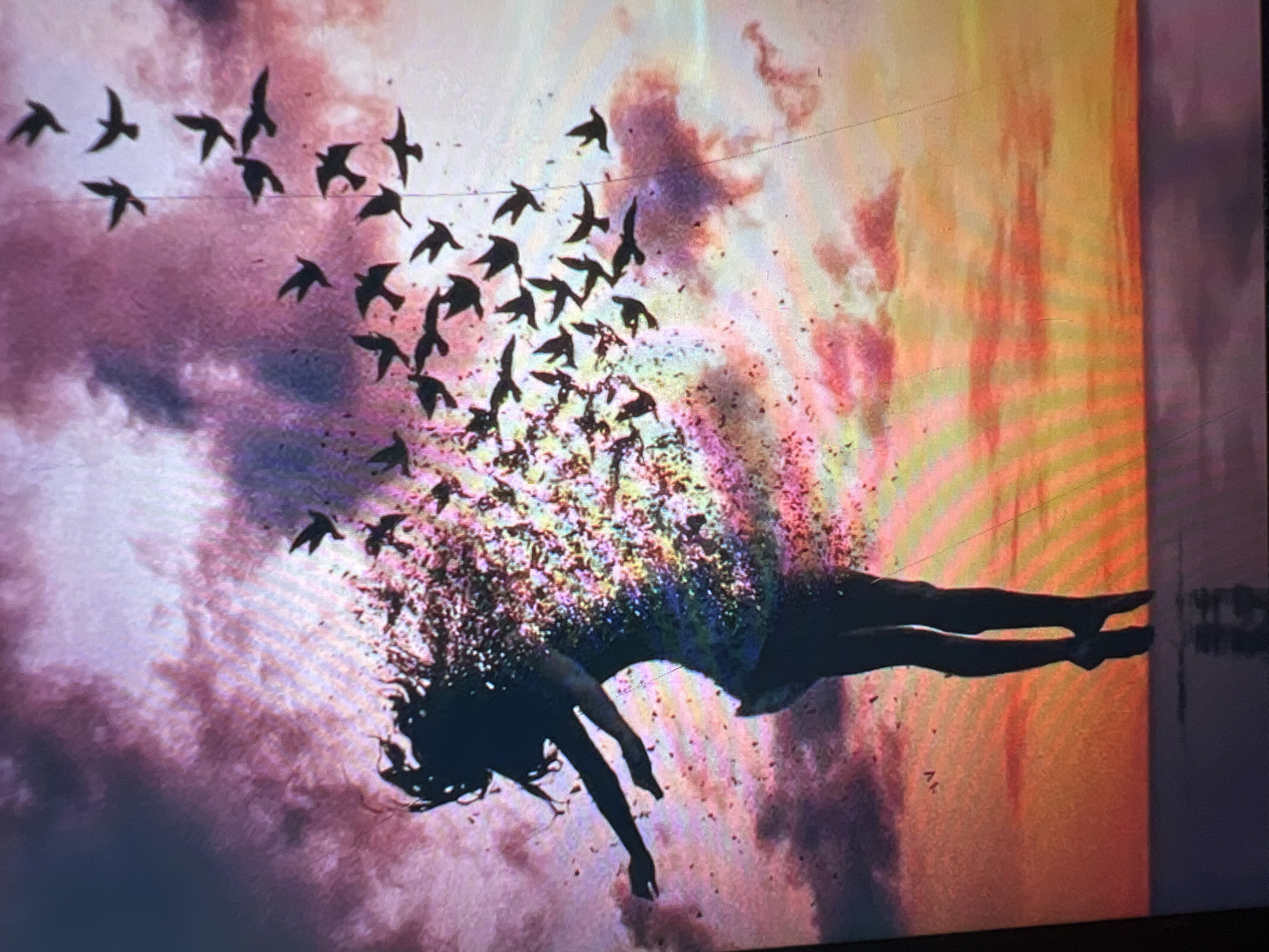 This media file depicts a surreal and abstract scene featuring a silhouette of a person, appearing to be a woman, dissolving into a flock of birds. The figure is depicted in mid-air, with their body fragmenting into numerous small, dark shapes that transition into the birds flying around them. The background is a dramatic sky filled with swirling clouds in shades of pink, purple, yellow, and orange, suggesting a sunset or sunrise. The overall mood is ethereal and perhaps melancholic, evoking themes of transformation, freedom, or disintegration. There is no visible text in the image. The lighting and color palette imply a dramatic and visually impactful moment.