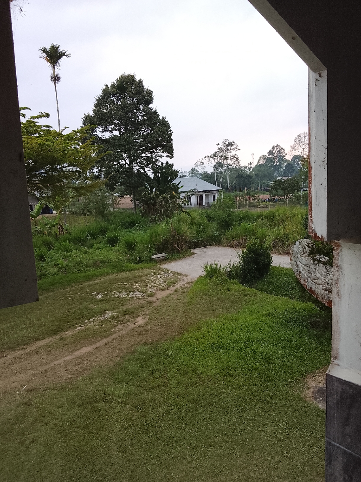 The image depicts an outdoor scene, possibly in the city of Padang Dalom, Indonesia. The foreground is dominated by a dirt path and a lawn with lush green grass. To the right, a portion of a building is visible, featuring a white, weathered wall with dark grey trim. A decorative, carved element is attached to this wall, possibly a planter or a sculptural detail, also showing signs of weathering.
In the middle ground, a narrow concrete path meanders through a landscape of dense, tall green grass and various trees. A small, bushy green plant stands near the concrete path. Further in the background, a white building with a grey roof is partially visible, nestled among the trees. The surrounding area is characterized by abundant vegetation, including palm trees and other leafy trees. The sky is overcast with a light grey hue. The overall impression is a rural or semi-rural setting with a blend of natural growth and simple man-made structures.