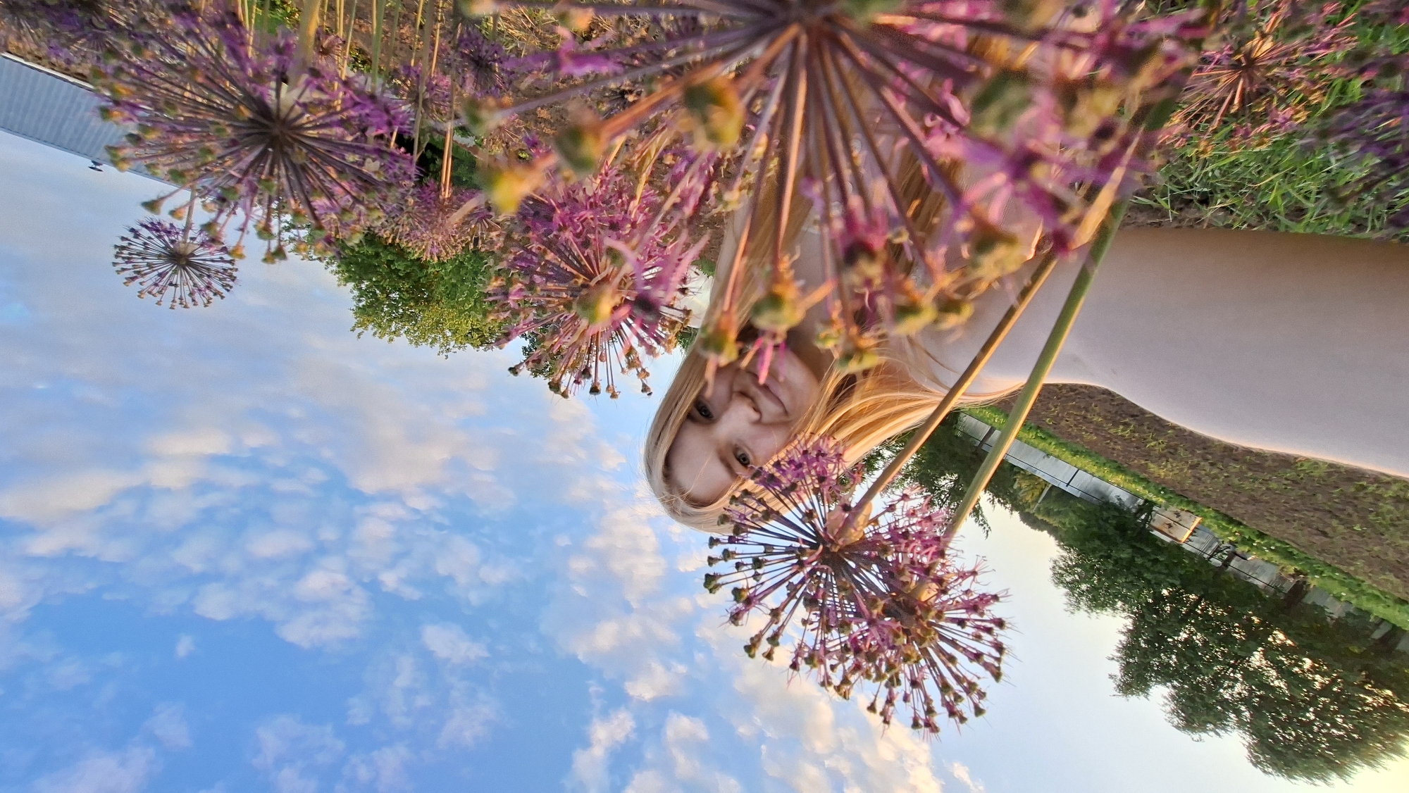 A vibrant, low-angle outdoor portrait captures a young woman peering through a field of large, spherical purple allium flowers under a bright blue sky with scattered white clouds. The image is oriented with a 90-degree counter-clockwise rotation.
The woman, with long blonde hair and light eyes, is positioned among the dominant purple allium blooms, some in sharp focus in the foreground, others softly blurred. She looks directly at the camera with a calm and pleasant expression. Her light-colored top is visible beneath her chin.
The lighting suggests late afternoon or early evening, giving the scene a soft, warm glow. The clear sky and scattered clouds indicate good weather. In the background, beyond the dense flower display, green foliage of trees and what appears to be tilled earth or a field stretch into the distance. A building with a light-colored roof is visible on the far left. The setting is rural or semi-rural, located in Большой Букор, Russia. There is no visible text in the media file.