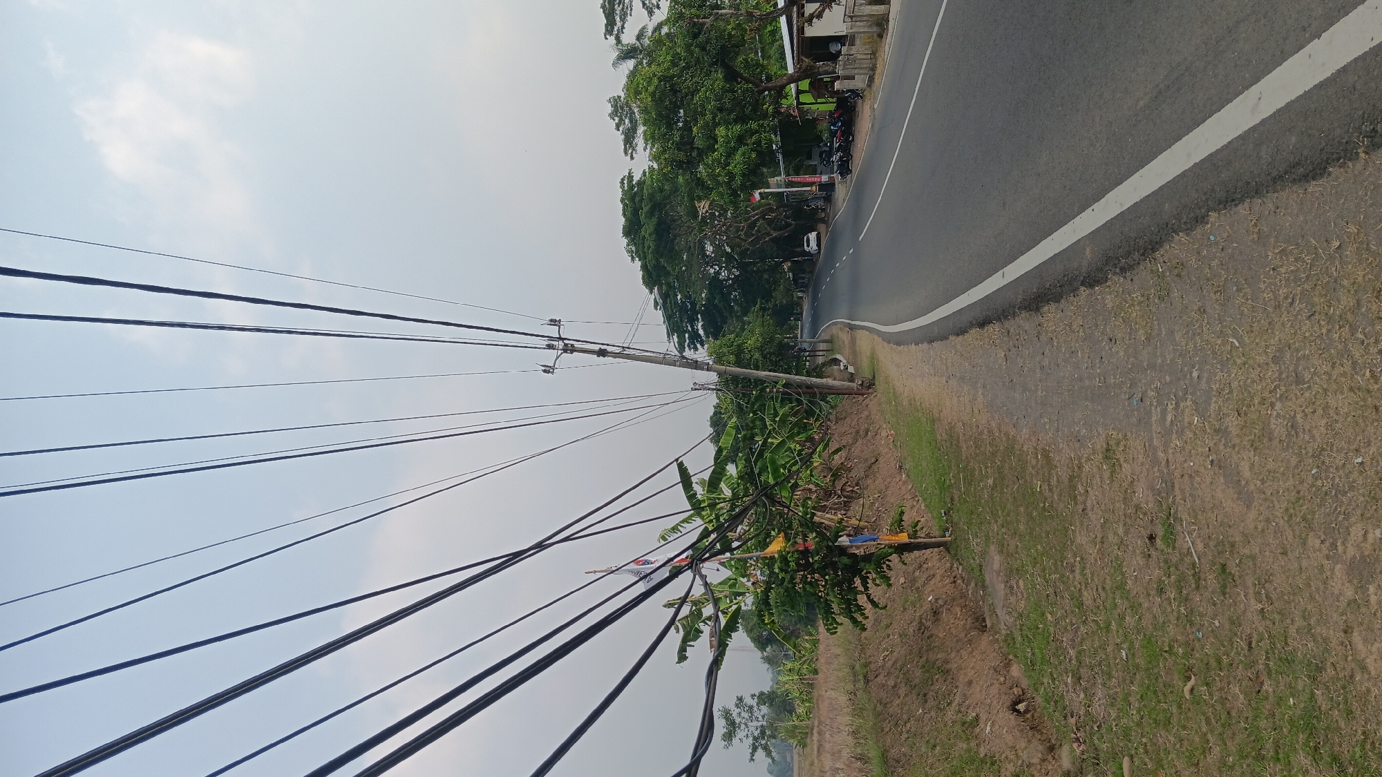 The image depicts a rural road scene in Tanjungsari, Indonesia, characterized by a winding asphalt road with a white dashed line on the right side. A gravel and grass verge runs along the left side of the road. A prominent feature is a telephone pole with a dense network of black electrical wires fanning out and crossing overhead, creating a complex web against a hazy sky.
To the left of the road, there is a slope covered in dry grass and soil, with some greenery and banana trees at the base. A small tree with flags attached stands on this verge. In the background, to the right of the road, are several buildings with various motorcycles parked in front. Beyond the buildings and across the road, a dense line of lush green trees forms a natural backdrop. A white car is visible parked on the side of the road further down. The overall atmosphere suggests a typical day in a semi-urban or rural Indonesian setting, with a focus on infrastructure and the surrounding vegetation.