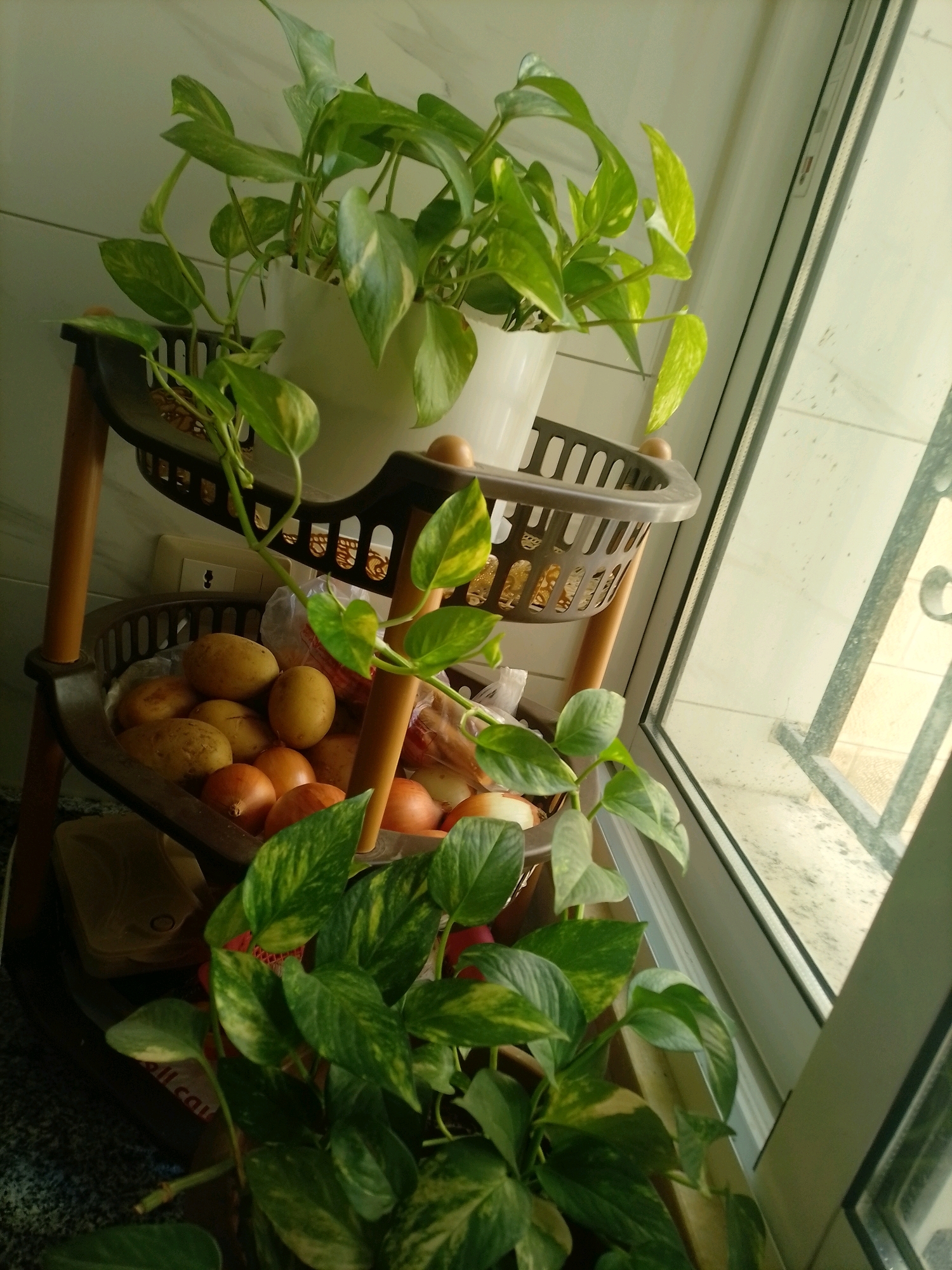 A three-tiered brown plastic and wooden vegetable rack sits on a countertop next to a window. The rack contains several potatoes and onions on its bottom and middle shelves, and a potted plant on its top shelf. The plant has long, trailing vines with green and yellow variegated leaves. The window is dirty and shows a blurry exterior view. A light switch is visible on the wall behind the rack. The scene is illuminated by natural light from the window.