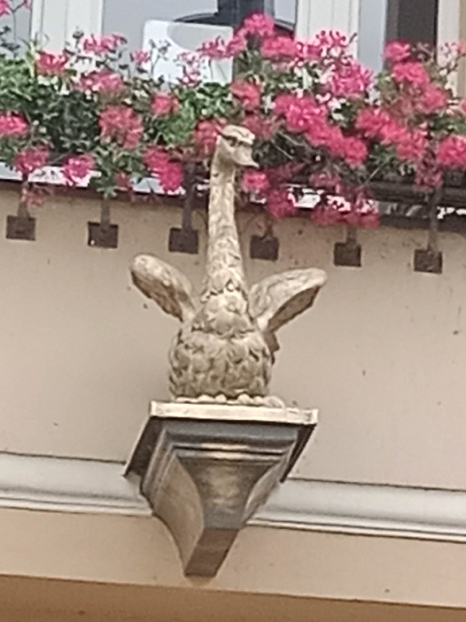 A stone sculpture of a bird with outstretched wings is mounted on a decorative bracket outside a building. The sculpture is beige and appears to be weathered. Behind the sculpture, a window box filled with bright pink flowers and green foliage is visible. The background is a light-colored wall. The image was taken in Bydgoszcz, Poland.