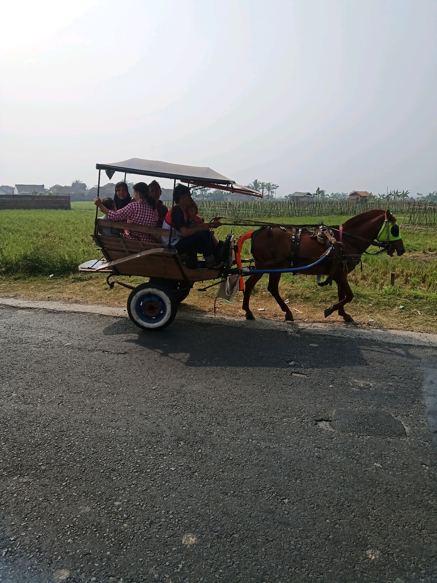 A horse-drawn carriage with five people is traveling down an asphalt road. The carriage has a brown wooden body and a tan canopy. The horse is brown with a neon green muzzle guard and is harnessed to the carriage. The people in the carriage are four women and one man. The man is driving the carriage. The road is in good condition with some cracks. On the left side of the road, there is a green field with some buildings in the background. On the right side of the road, there is a wooden fence and more green fields. The sky is overcast and hazy. The scene appears to be in Garut, Indonesia.
