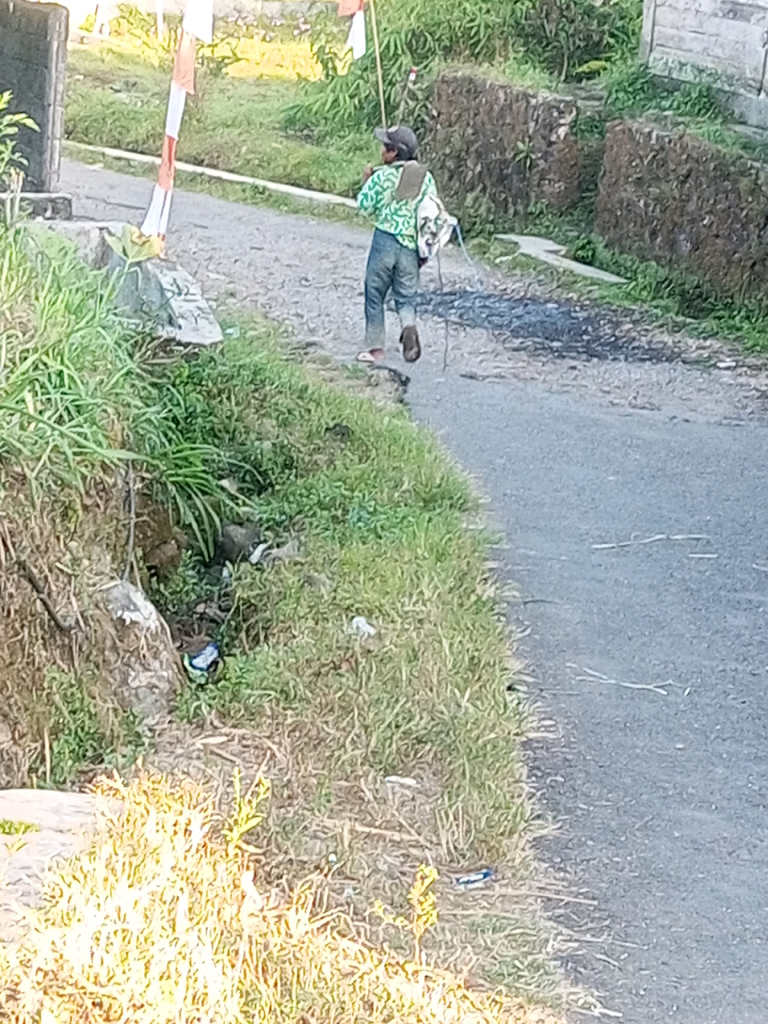 A person wearing a dark baseball cap, a green and white patterned shirt, and blue pants is walking away from the camera on a paved road. The person is carrying a white bag slung over their left shoulder and holding a long pole in their right hand. They are wearing sandals on their feet. The road is bordered by a grassy embankment on the left and what appears to be a tiered, cultivated hillside on the right. There are a few small white objects scattered on the road. In the foreground, there is dense, dry grass. The background shows more greenery and some structures. The scene is set in Andongsili, Indonesia.