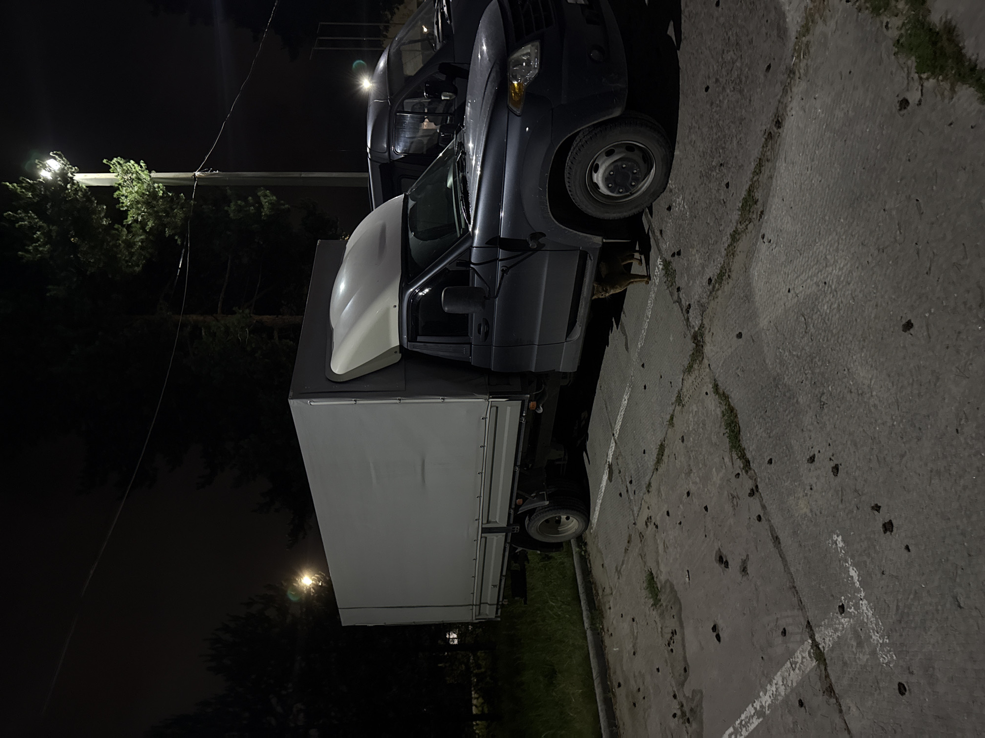 A dark, overcast night scene in Sovetskiy, Russia, features a parked dark blue utility truck with a light-colored cargo box. The truck is on a cracked asphalt surface marked with white lines, indicative of a parking lot. Sparse, dark green grass and small, dark debris are scattered across the ground. A small, reddish-brown cat is partially visible, seeking shelter beneath the front passenger side of the truck. In the background, silhouetted pine trees are visible against a dimly lit sky, illuminated by a tall streetlamp positioned to the right, casting a bright, focused light. Another dark-colored van is parked behind the utility truck. The overall atmosphere is still and quiet.