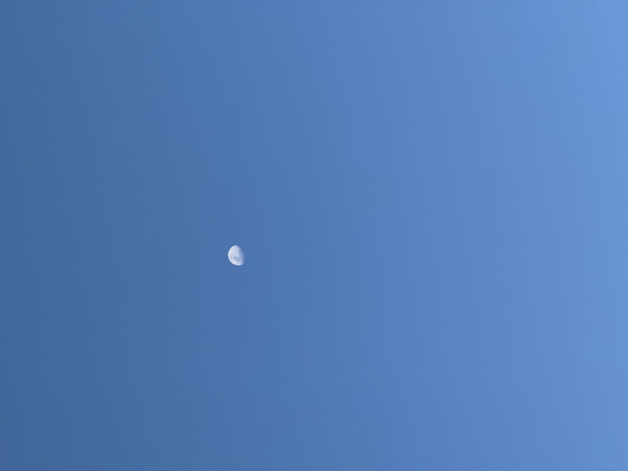The image displays a clear, unblemished blue sky observed from Nha Trang, Vietnam. Centrally positioned in the upper half of the frame is a distinctly visible crescent moon, illuminated on its left side. No terrestrial landscape features, human subjects, man-made structures, or other celestial bodies are present within the photographic composition. The scene is devoid of any discernible actions or interactions, focusing solely on the atmospheric conditions and the solitary lunar presence.