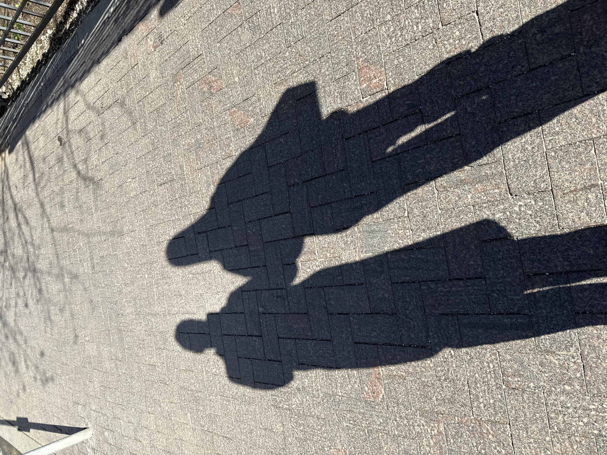 The image shows the shadows of two people on a brick-paved surface. The shadows suggest the people are standing close together, possibly facing the same direction. The location is Moscow, Russia. A metal railing is visible along the upper left edge of the image.