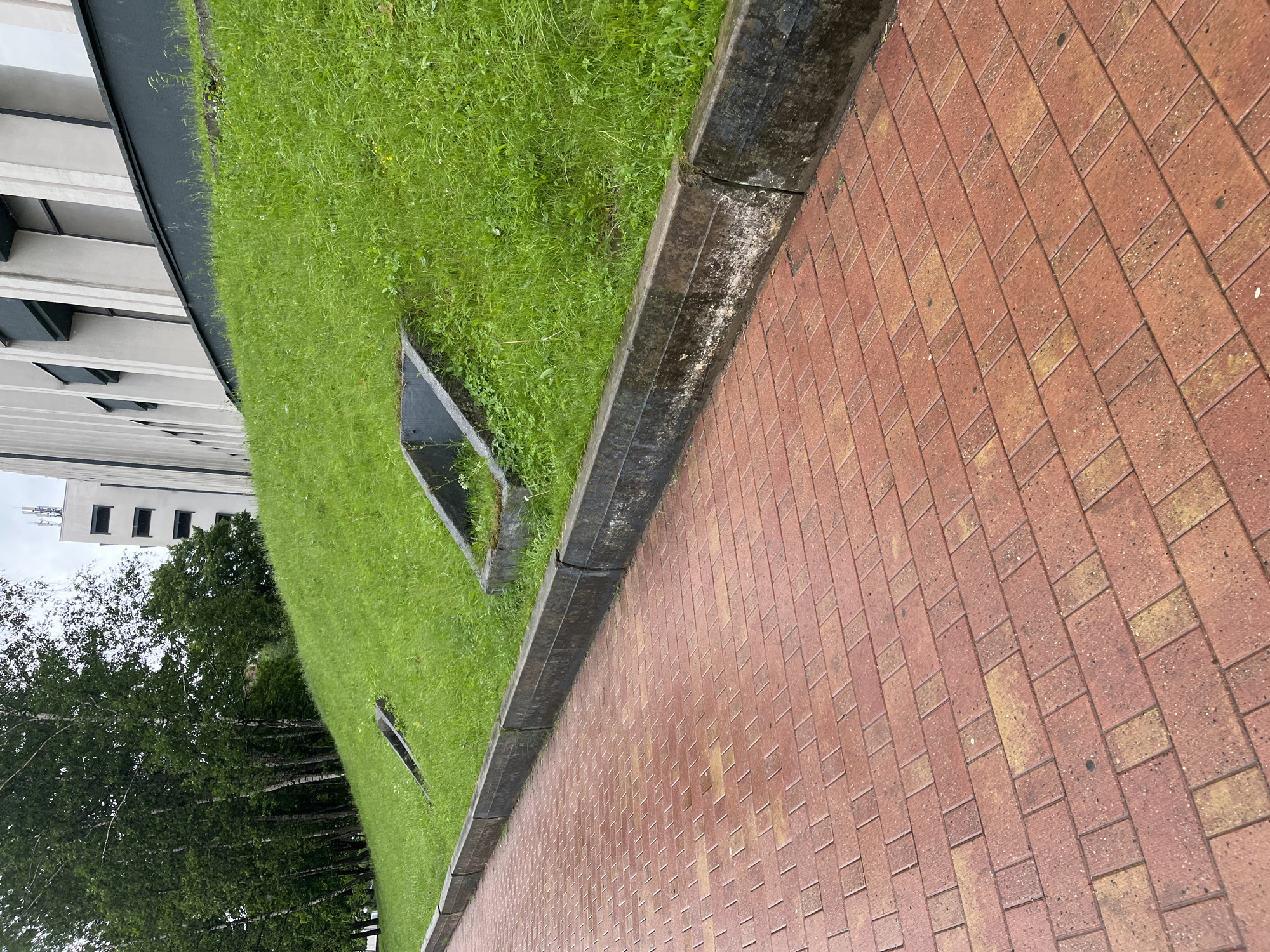 The image depicts a red brick pathway adjacent to a grassy slope leading up to a modern building. Two concrete structures are partially visible within the grass. The pathway is wet, suggesting recent rain. Trees are visible on the left side of the image, and the building appears to be a multi-story structure with a light-colored facade and dark windows. The sky is overcast. This scene is located on the grounds of the National Library of Belarus in Minsk, Belarus.