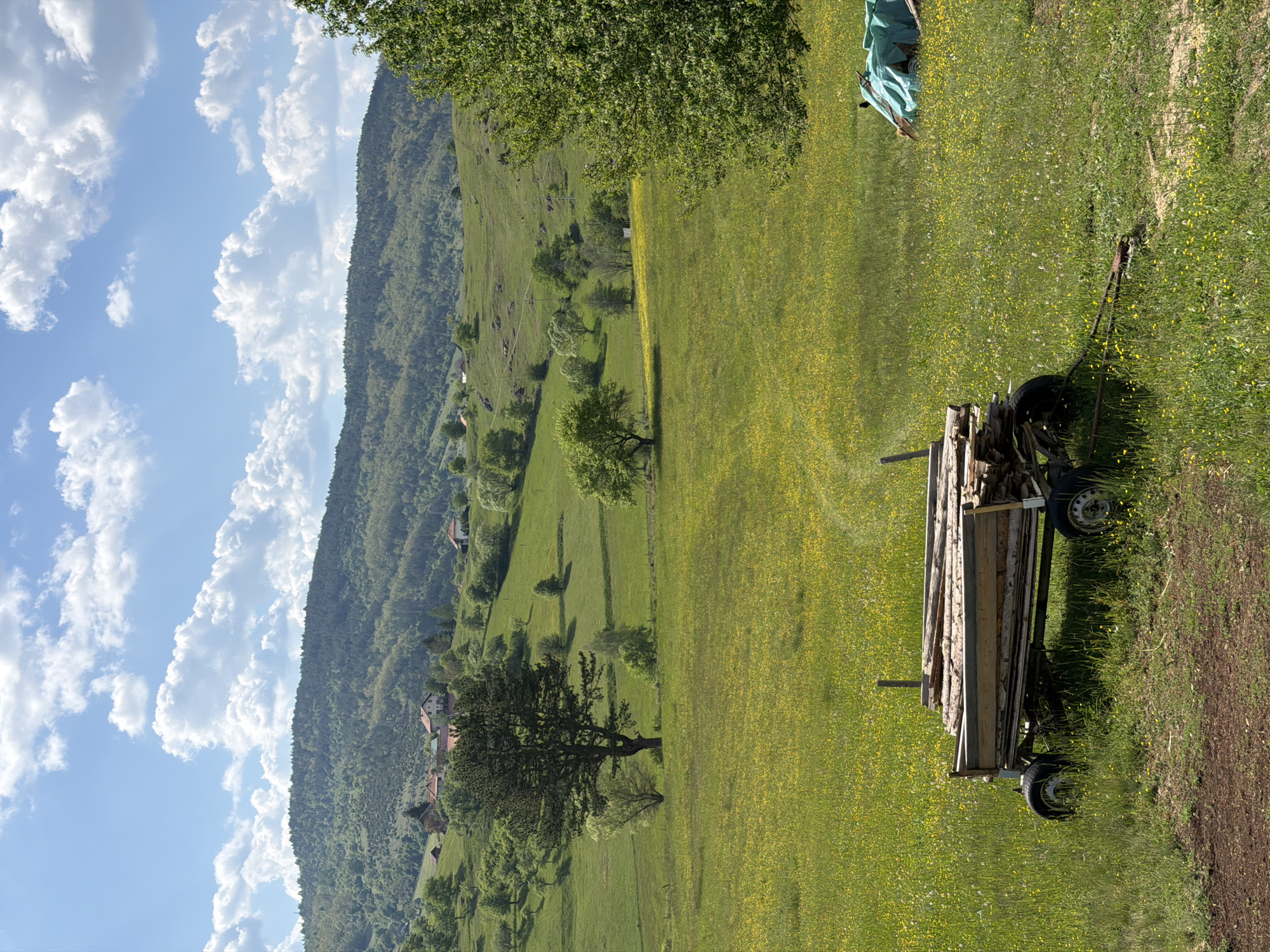 The image shows a rural scene in Otilovići, Montenegro. A grassy field filled with yellow wildflowers occupies the foreground. A small, wooden wagon loaded with lumber sits on a dirt path at the edge of the field. In the middle distance, a green, mountainous hillside is dotted with trees and a few houses. The sky is blue with scattered white clouds. A tree partially obscures the top of the scene. A piece of blue tarpaulin is present near the tree.