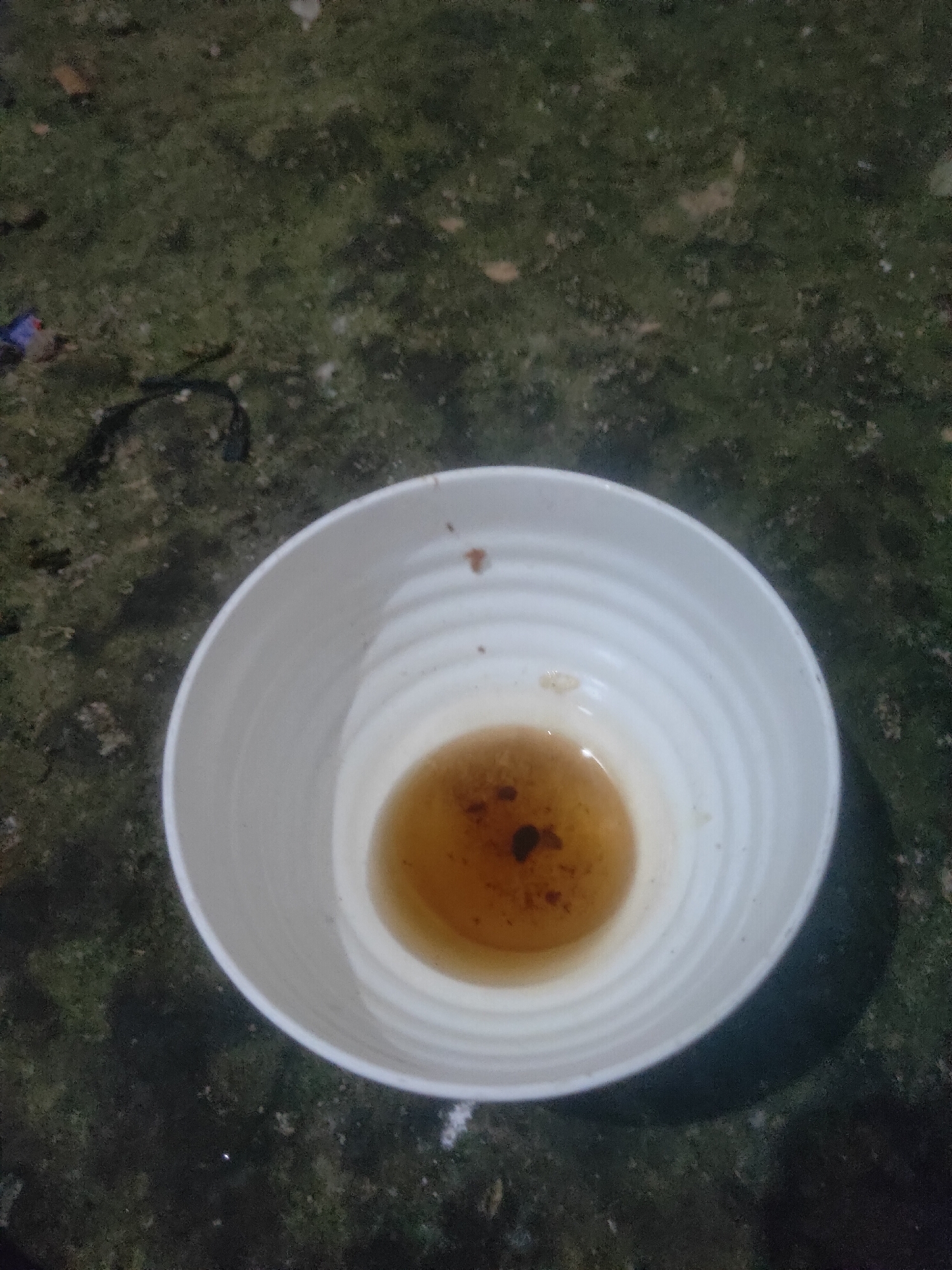 A white, ribbed bowl containing a brown liquid with dark specks is placed on a dark, textured surface. The surface appears to be ground or pavement with a green, mossy or algae-like growth and scattered debris. The bowl is positioned in the lower half of the image. The lighting is dim, creating a slightly blurred effect. There is no indication of the location being Antirogo, Indonesia.