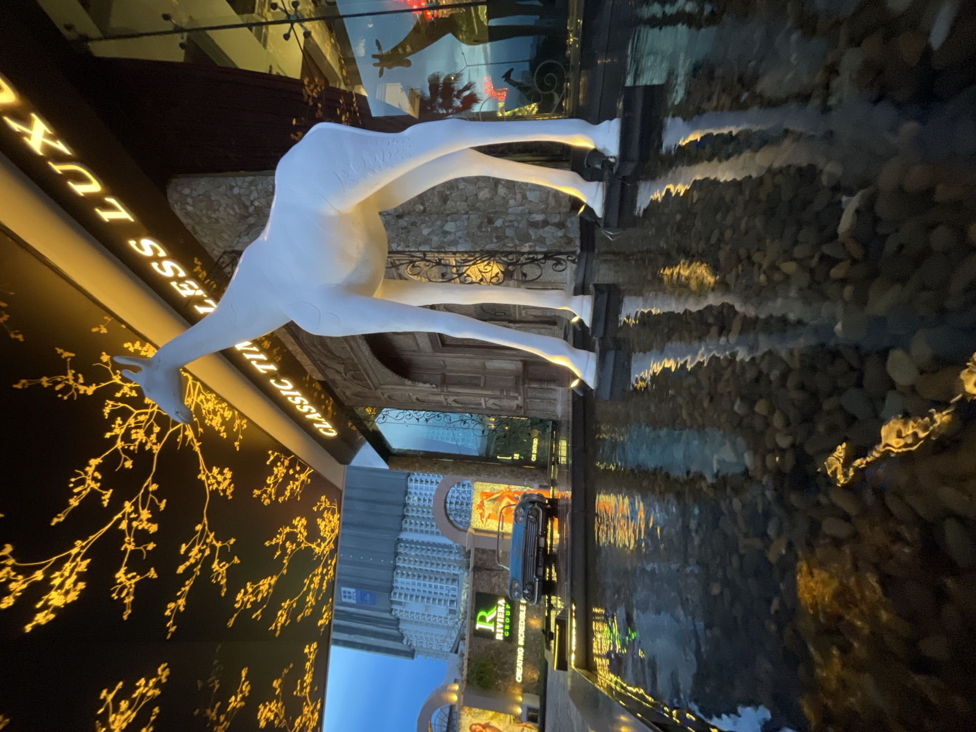 An exterior shot of a building in Pattaya City, Thailand, features a large, white giraffe sculpture positioned in front of the entrance. The giraffe is standing in a shallow pool of water with pebbles on the bottom, and its reflection is visible on the water's surface. The building's facade has a stone texture and is adorned with a sign that reads "CLASSIC TIMELESS LUXURY". Above the entrance, a dark ceiling is decorated with a pattern of glowing yellow branches. To the left of the giraffe, a vintage blue convertible car is displayed on a raised platform next to a sign for "RIVIERA GROUP". In the background, a tall, modern building under construction is visible against a twilight sky. The scene is illuminated by artificial lighting, highlighting the sculpture and the building's architectural details.