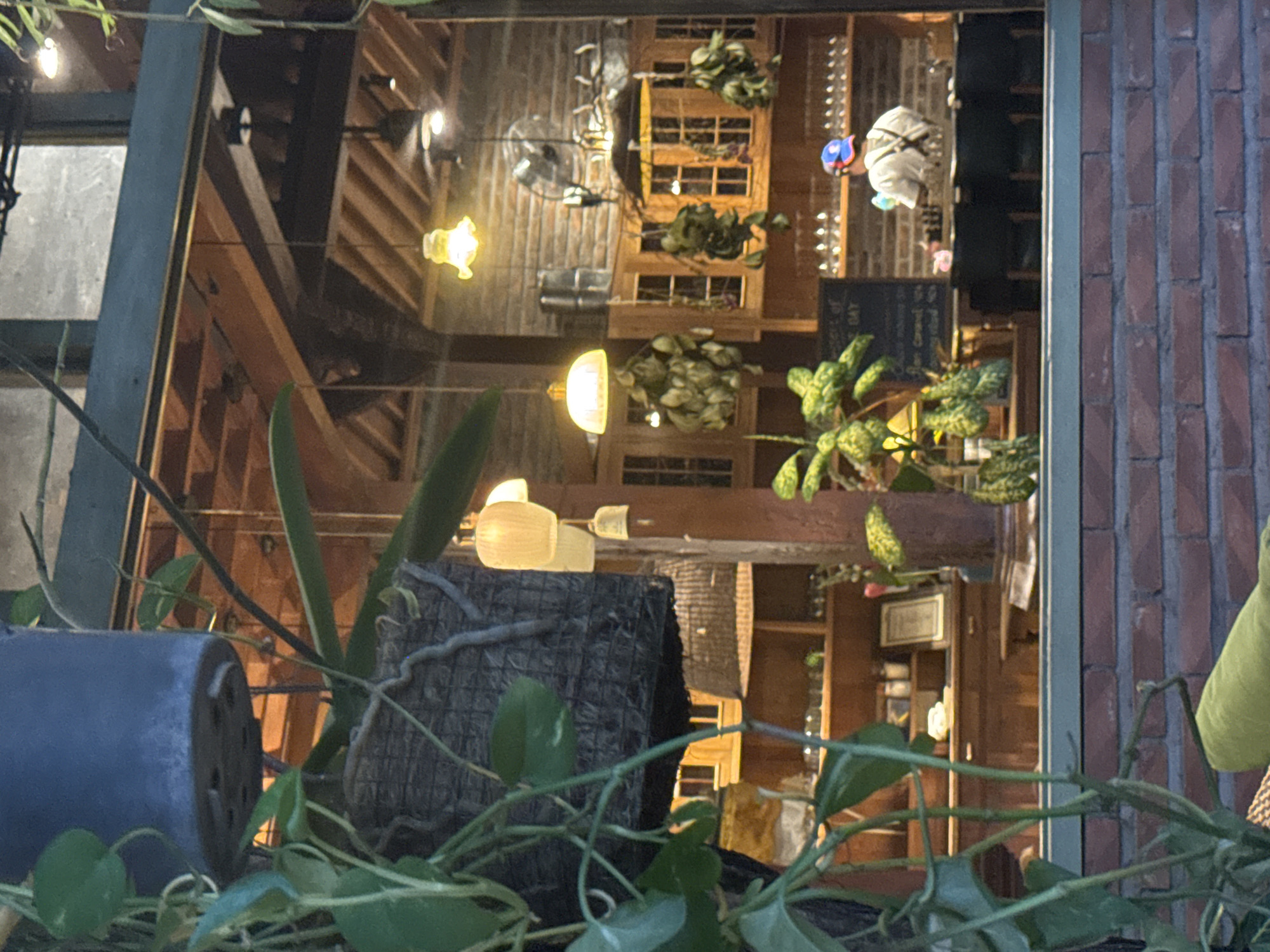 Captured from what appears to be a window perspective, the image reveals an interior space filled with warm lighting and a rustic aesthetic. Plants in pots are prominent in the foreground, blurring some of the view into the space beyond. Shelves containing various objects and additional greenery line the interior, which is illuminated by hanging lights with distinctive shades. The image's location is confirmed to be in North Kuta, Indonesia.