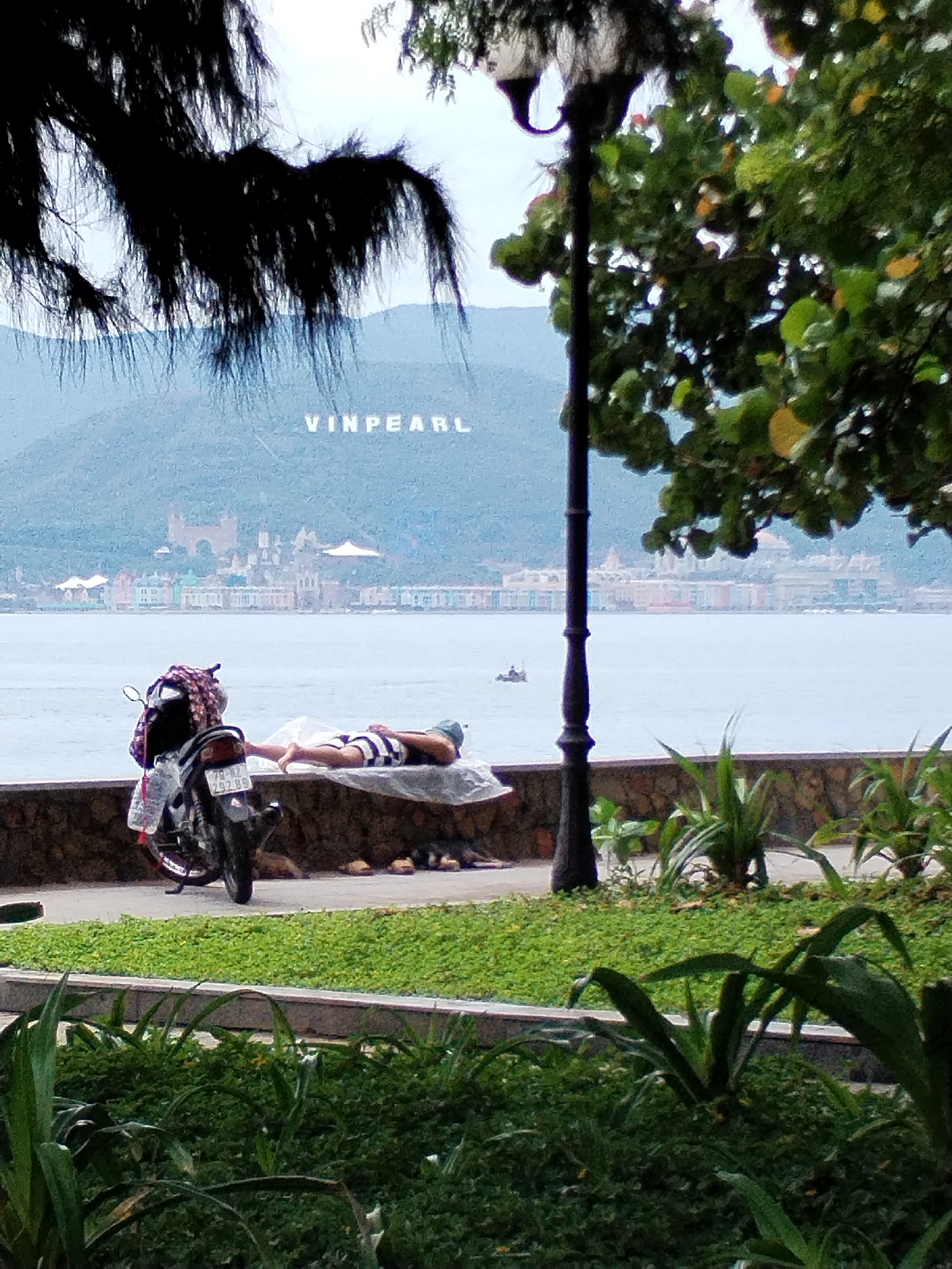 This image presents a tranquil coastal scene in Nha Trang Ward, Vietnam, viewed from a shaded perspective. In the immediate foreground, lush green ground cover and plants line a concrete pathway that runs alongside a low, stone wall. Overhanging dark, feathery foliage from a tree partially frames the upper left, while a dark lamppost and leafy green tree branches occupy the right side.
In the midground, a person wearing striped shorts and a cap is resting or sleeping on a white mat laid on the stone wall, with their back to the viewer. Beside them, a black motorcycle, laden with a patterned bag on its seat, is parked on the pathway. Two pairs of sandals are placed on the ground near the person's feet. Beyond the wall, a calm expanse of water stretches into the distance, where a small boat with at least one occupant is visible.
The background features a hazy mountainous coastline. Along the water's edge, a colorful town or resort complex with various buildings, including a prominent castle-like structure, can be seen. High on the distant mountain, the large white letters spelling "VINPEARL" are clearly displayed. The sky is overcast, indicating a daytime scene, likely under diffused light. The motorcycle bears a Vietnamese license plate with the text "79-R2 292.89". The overall impression is one of relaxation and peace by the sea.