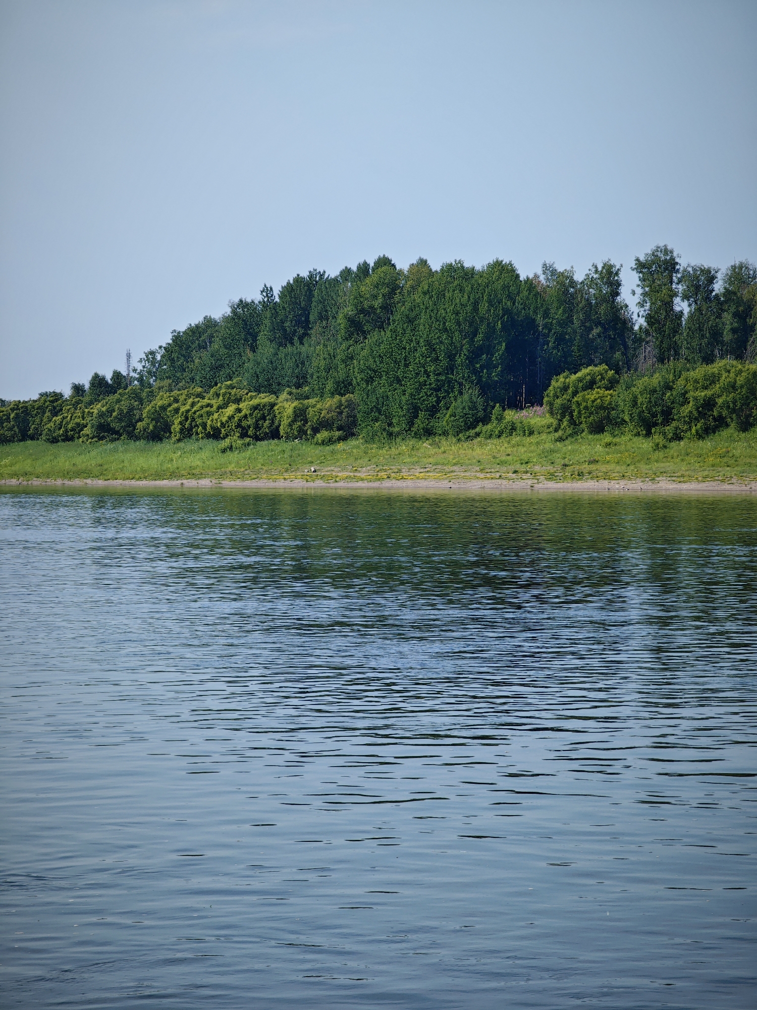 The image shows a wide body of calm water in the foreground, with a gentle ripple pattern on its surface. The water reflects the sky and the lush green vegetation on the opposite bank. The bank is lined with a strip of sandy shore, followed by a dense line of trees and shrubs in various shades of green. The sky above is a clear, pale blue. A telecommunications tower is visible in the distance on the left side of the treeline. The scene appears to be a natural landscape with no visible structures or human activity other than the distant tower.