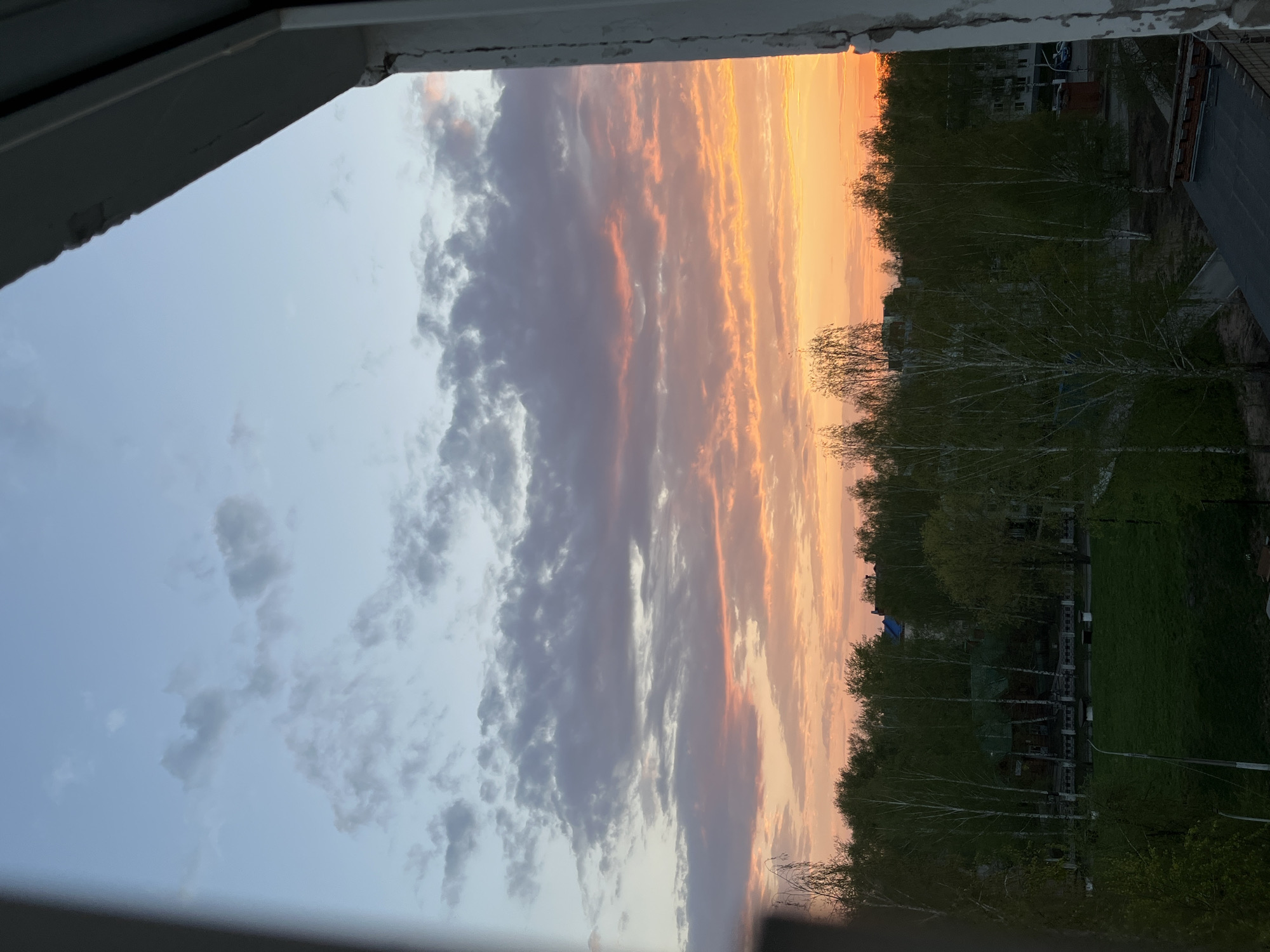 From a window in a building in Chaikovsky, Russia, the image shows a partially obscured view of a city landscape under a colorful sunset. The sky transitions from a light blue with scattered clouds on the left to a vibrant orange with striated cloud formations on the right. Below the sky is a line of trees with new spring foliage, bordering a grassy area. In the background, buildings typical of an urban environment are visible. The window frame provides a partial border at the top and bottom of the image.