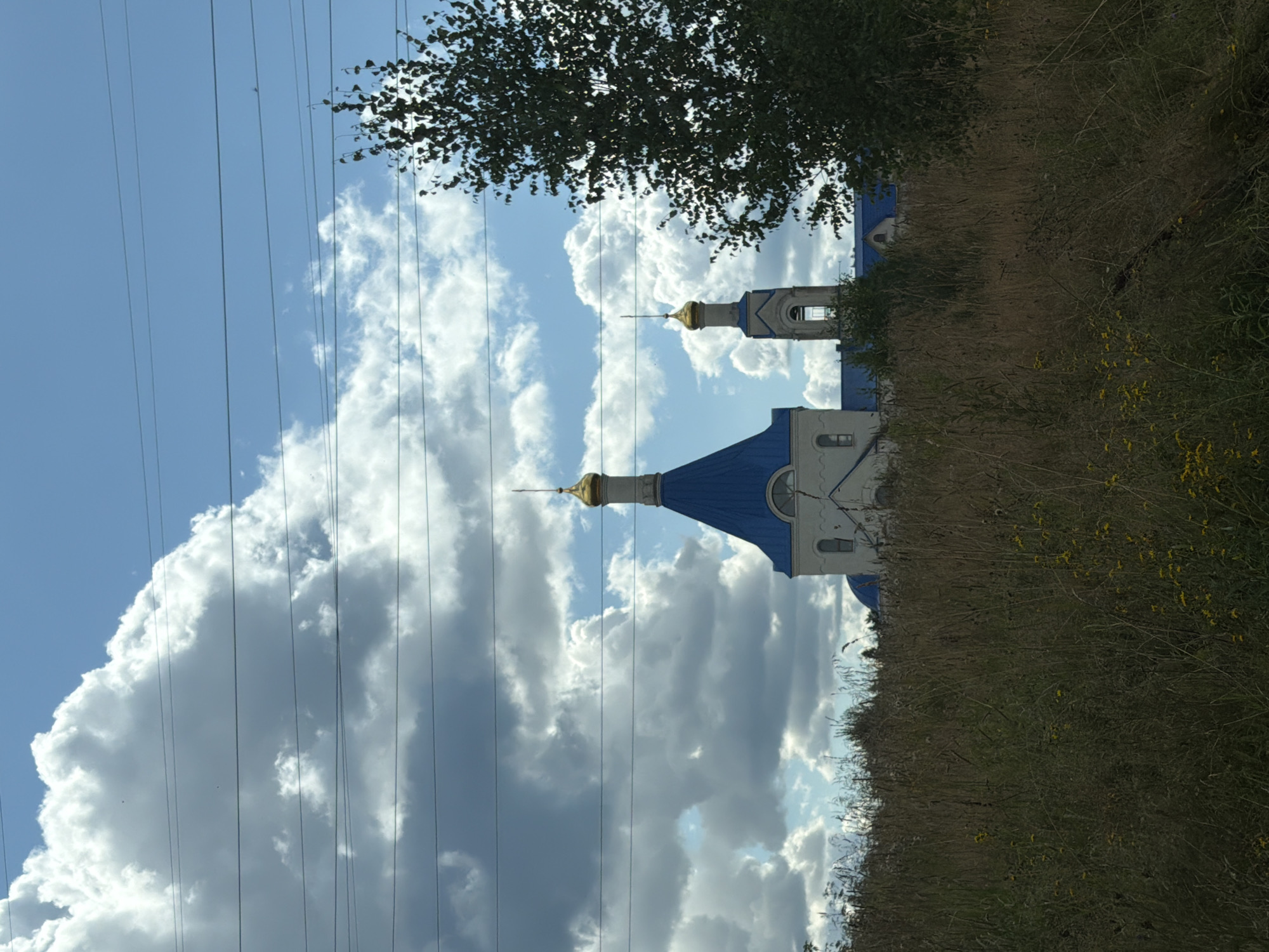 The image shows a white church with a blue roof and gold domes, located in Trusovo, Russia. The church is situated amidst tall, dry grass and scattered yellow wildflowers. In the background, a tall, leafy tree stands to the right, and a clear blue sky with scattered white clouds is visible. Several power lines stretch horizontally across the sky in the foreground, partially obscuring the view of the church and the sky. The overall scene depicts a rural or semi-rural landscape with a religious structure as the prominent subject.