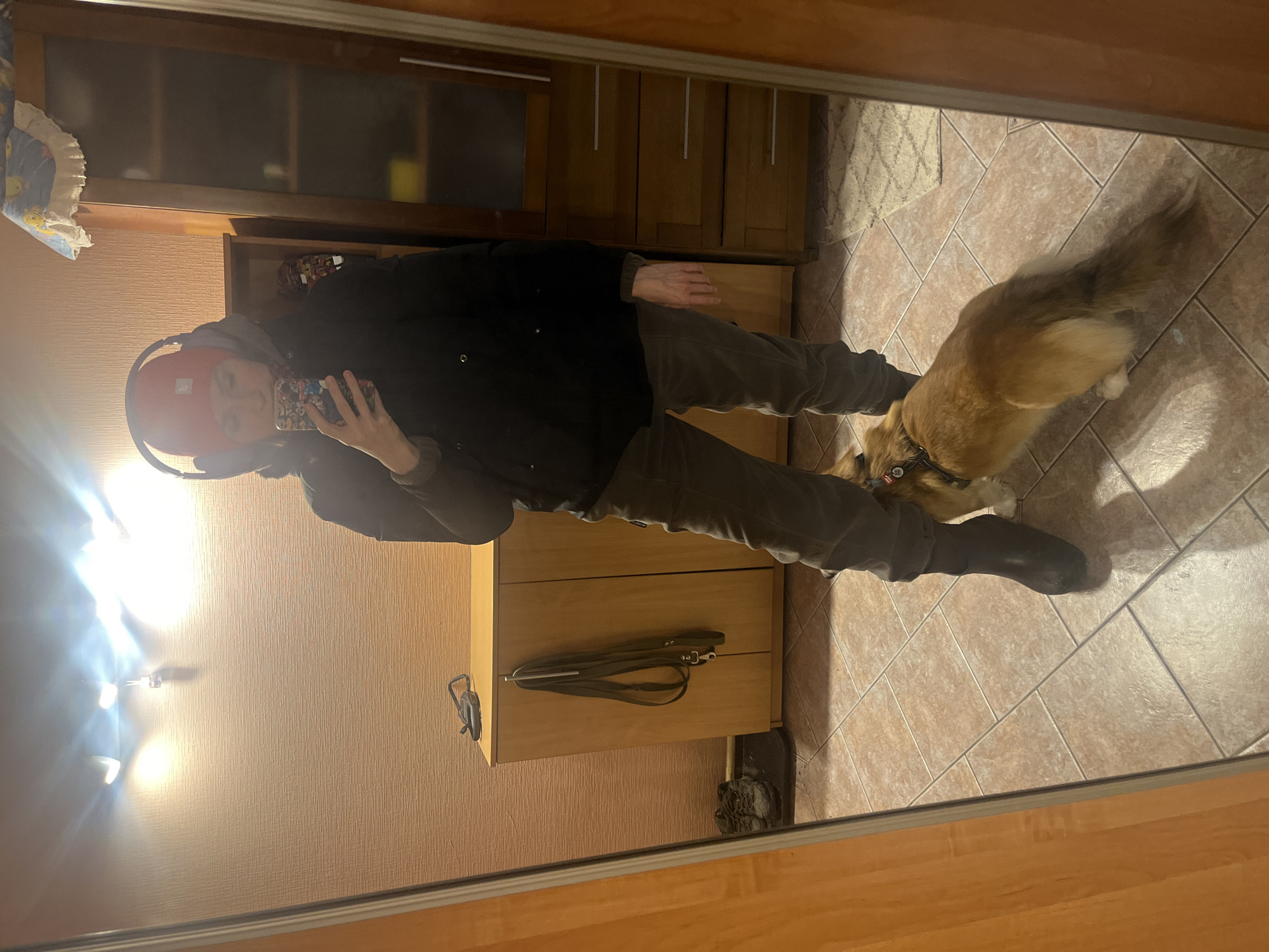 A person wearing a red beanie, black jacket, grey pants, and black boots is taking a selfie in a mirror. The reflection shows the person standing indoors, possibly in an entryway, with a dog beside them. The dog is light brown with a bushy tail. Background details include a tiled floor, light-colored walls with wallpaper, wooden cabinets, and a dog leash on top of one of the cabinets. Based on the style of the interior, the location is likely in a residential building. While the specific location in Novosibirsk, Russia, cannot be determined definitively, it is possible based on the file name metadata.