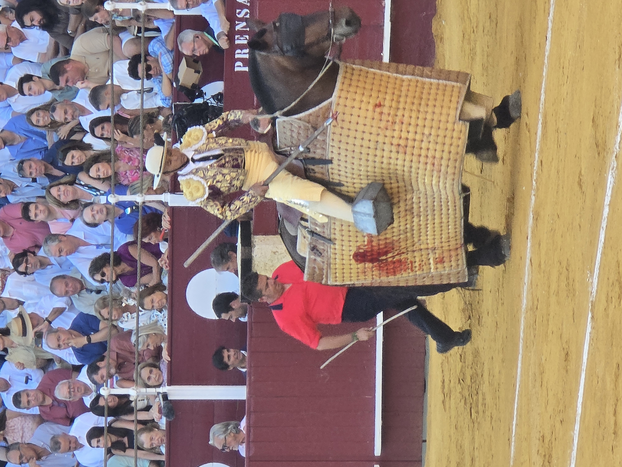 The image shows a bullfight in progress at the La Malagueta bullring in Málaga, Spain. In the foreground, a bullfighter on horseback, dressed in a traditional gold and red suit, is engaged in the event. The horse is partially covered by a protective blanket. Behind the bullfighter, a man in a red shirt and black pants is holding two sticks. Spectators are visible in the background, seated in the tiered stands of the bullring. The ground of the arena is covered in sand, with white lines marking the boundary. The overall scene captures a moment of action and tradition within the bullfighting arena.