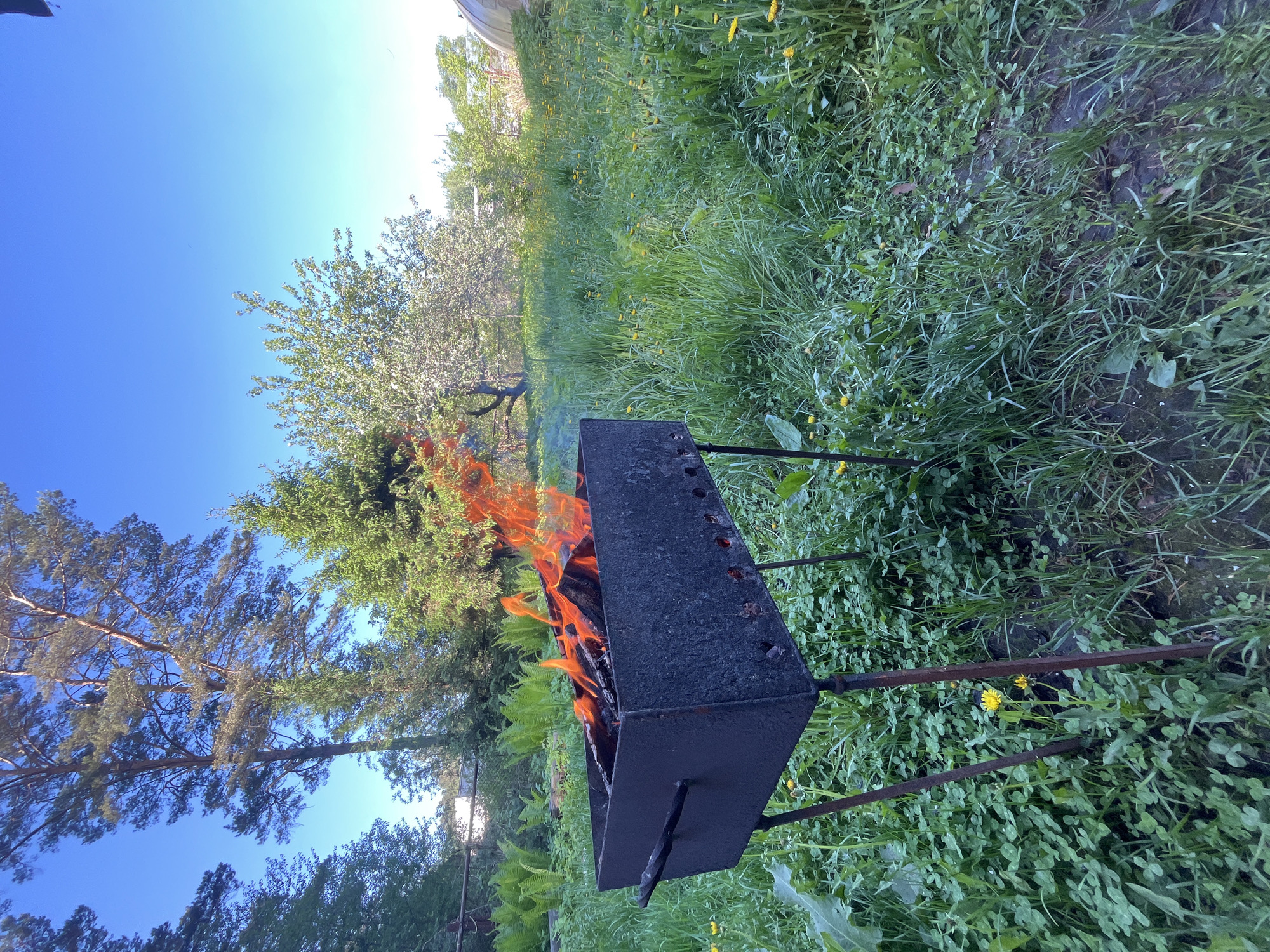 The image shows a black metal grill filled with burning wood in a grassy outdoor area. The grill is positioned on a metal stand. Flames are visible within the grill. The surrounding environment consists of green grass, various plants, and trees under a clear blue sky. The location is near Chaikovsky, Russia.