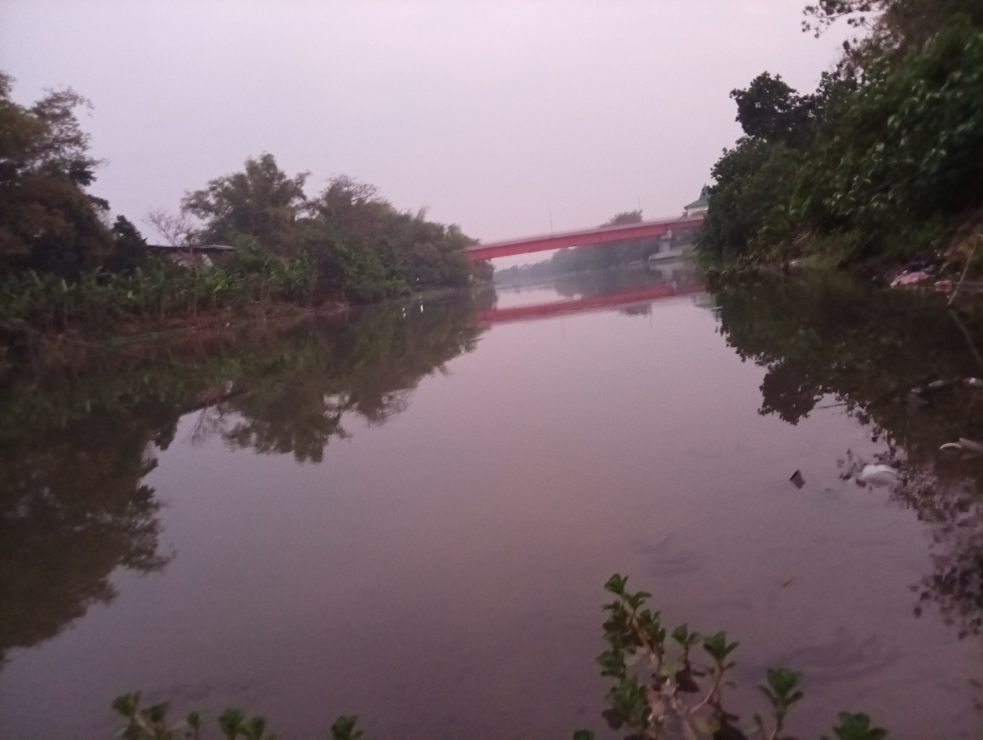 The image depicts a river scene in Kediri City, Indonesia. A bright red bridge spans the river in the middle ground, its reflection visible in the calm water. The riverbanks are lined with dense vegetation, including trees and crops. The sky is overcast with a pale, diffused light, suggesting either early morning or late evening. There are no people visible in the image, but some white birds appear to be on the riverbank on the left side. Debris, including plastic bags, is visible on the right bank of the river. The overall impression is one of a serene, natural environment with man-made elements.