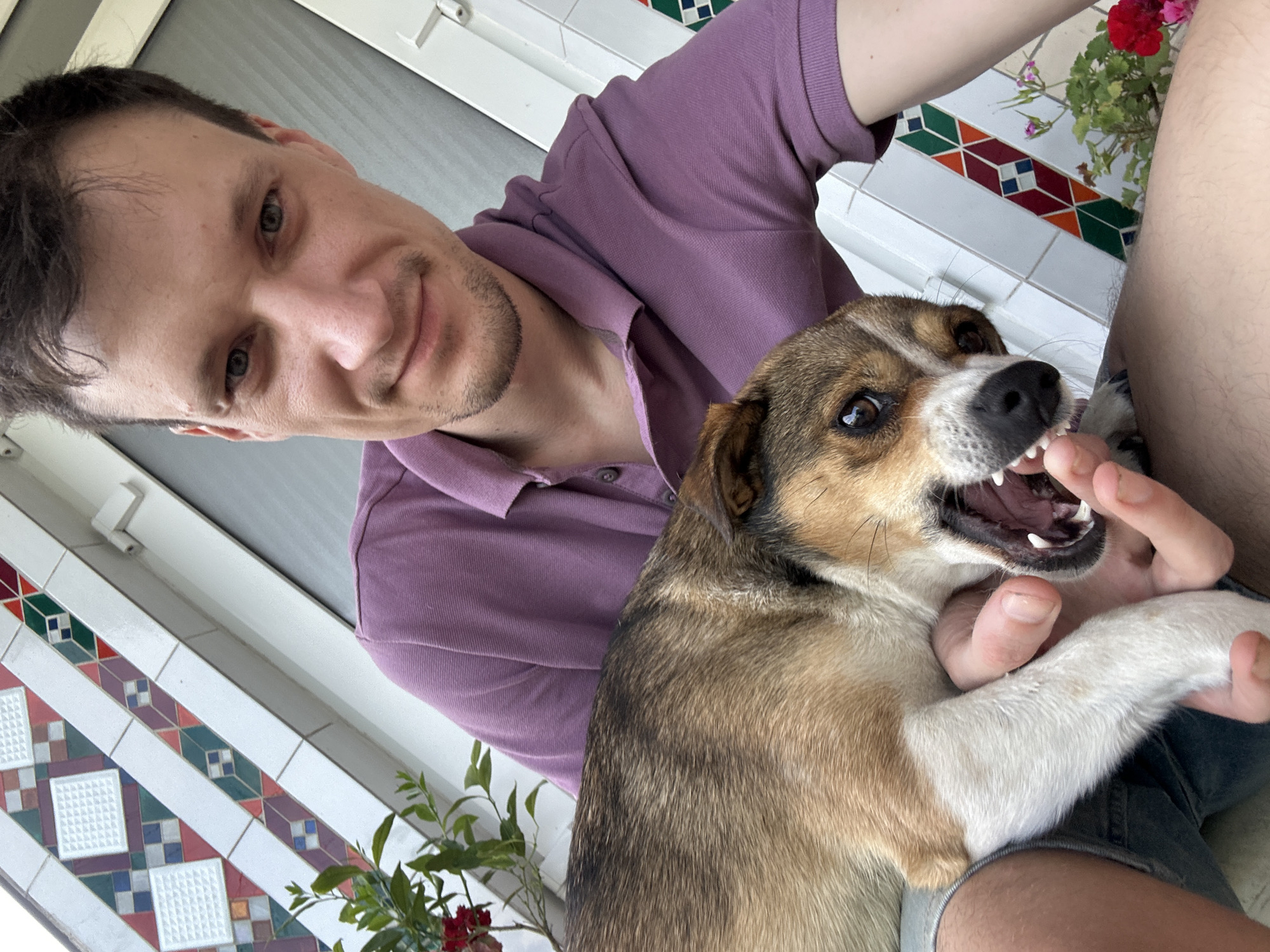The image is a close-up, selfie-style shot featuring a man and a dog. The man, positioned in the upper right of the frame, has short, dark hair, a light complexion, and is wearing a purple polo shirt. He is looking directly at the camera with a faint smile. In the lower left portion of the image, the dog, a medium-sized breed with brown and tan fur, is held by the man. The dog's mouth is open, revealing its teeth and tongue, and its head is turned towards the camera. The background includes a tiled wall with a decorative geometric pattern of white, red, purple, green, and orange squares and diamonds. To the left of the man's shoulder, a small green plant with red flowers is visible. The man appears to be outdoors, possibly on a porch or balcony, given the tiling and the presence of plants. There is no identifiable information suggesting the specific location within the city of Makiv, Ukraine.