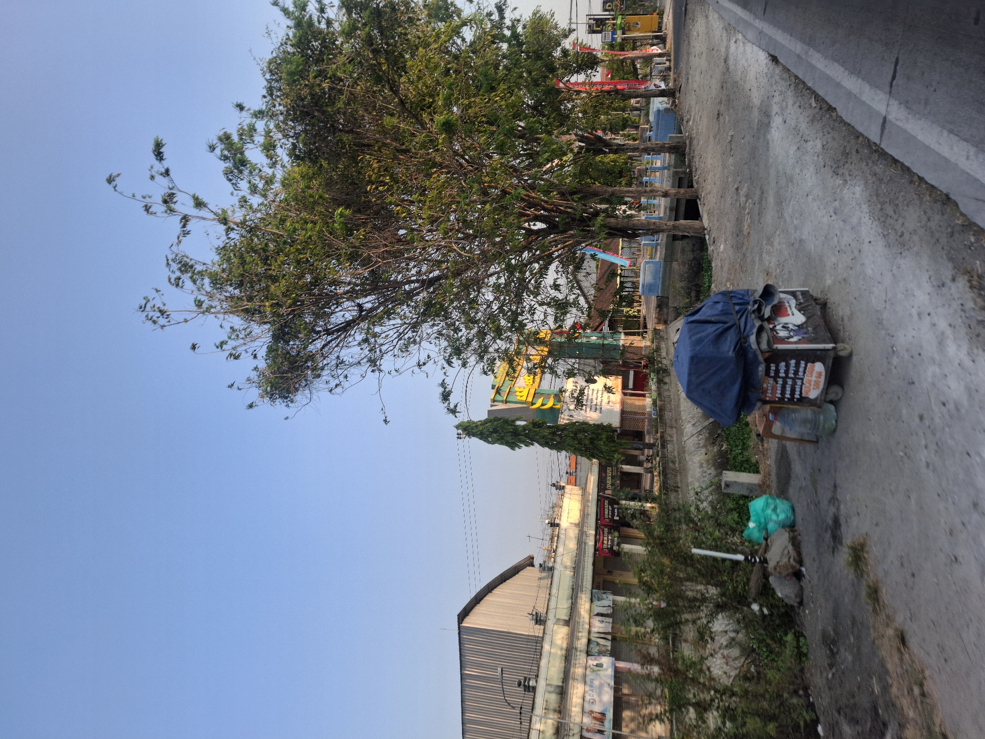 The image captures a street scene in Pucangro, Indonesia. A cart, covered with a blue tarp, is parked on the side of a dirt road. To the left of the cart, a broom, trash bags, and rocks are piled up near some foliage. Behind the cart, a bottle of water is visible. The road runs alongside a canal, beyond which are shops with corrugated metal roofs and colorful signage. Several trees with green leaves line the canal, and one tall, slender evergreen tree stands near the buildings. The sky is clear and blue. The lighting suggests it is either early morning or late afternoon.