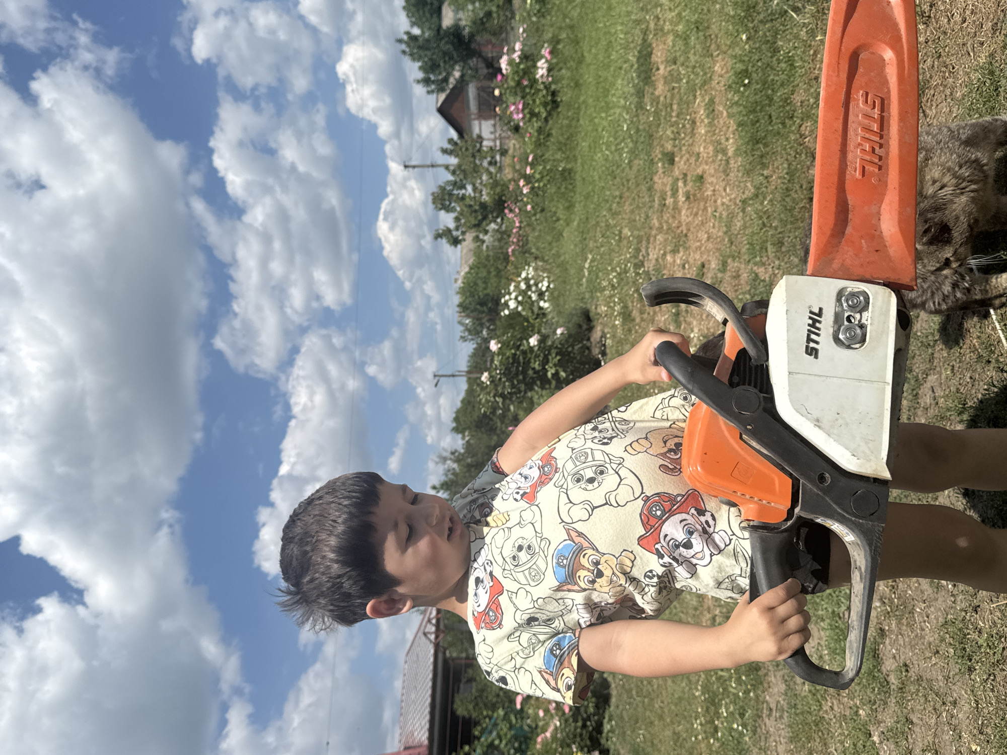A young boy stands outdoors in a grassy area, holding a Stihl brand chainsaw. He wears a t-shirt with a pattern of cartoon dogs. The background features a yard with rose bushes, trees, and houses, under a partly cloudy sky. A cat is partially visible in the lower right corner.