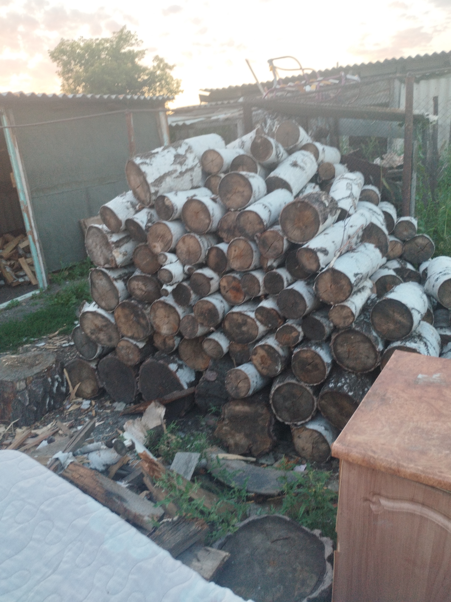 The image depicts a large pile of cut birch logs in an outdoor setting. The logs are of varying sizes and are stacked haphazardly. Some logs are covered in white bark, while others show darker, rougher bark. The ground around the logs is covered with dirt, grass, and smaller pieces of wood. In the background, there appears to be a rustic building with a corrugated metal roof and a light-colored wall. A tree with green foliage is visible behind the building, and the sky above is overcast with hints of sunlight breaking through. To the right of the pile of logs, a portion of a light brown wooden piece of furniture is visible. The overall scene suggests a rural or semi-rural environment, possibly a backyard or a storage area for firewood. There are no people visible in the image.