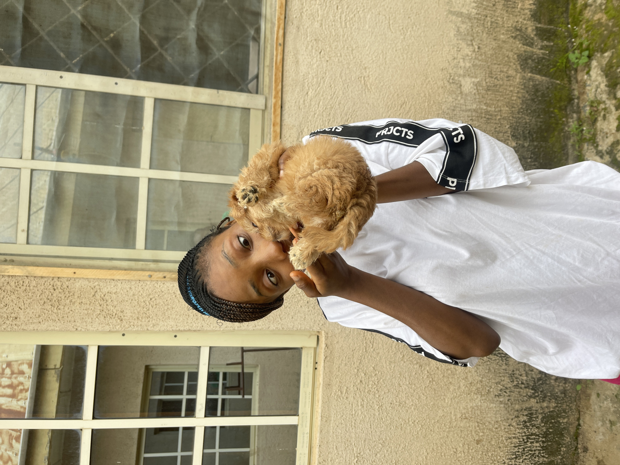In Rafin Par, Nigeria, a young Black female with braided hair and a white t-shirt holds a small, light brown puppy. The puppy is curled up and appears to be licking the girl's hand. The background consists of a beige, textured wall with two large windows. The windows have light-colored frames and reflective glass. Some vegetation is visible at the bottom of the image.
