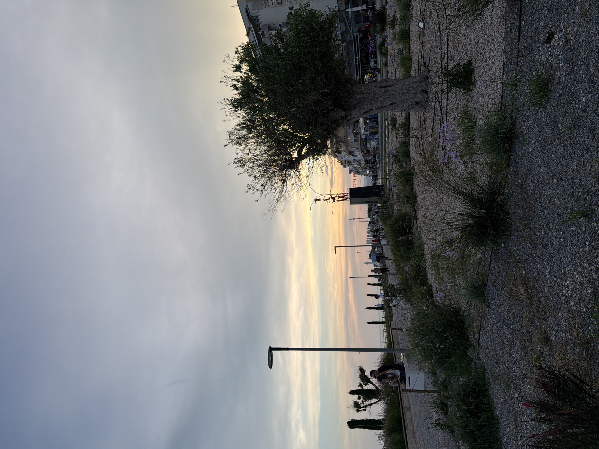 The image depicts a tranquil coastal promenade in Alexandroupolis, Greece, captured during either sunset or sunrise, indicated by the soft, colored light in the sky. The sky, covering the left side of the frame, transitions from a pale blue to warm yellow and orange tones, with long, streaky clouds.
A wide, light-colored gravel path, punctuated by sparse green vegetation and scattered small purple flowers, extends across the foreground and into the distance on the right. Several tall, dark streetlights are positioned along this path, creating a sense of depth.
A large, mature tree with a thick trunk and dark green foliage stands prominently in the mid-ground towards the upper right. Behind the tree, multi-story buildings with visible balconies line what appears to be a developed waterfront area.
Further along the promenade, numerous indistinct figures are visible in the distance, suggesting people strolling or relaxing. Closer to the foreground, on the right side, two individuals are seated on a low bench or wall near a streetlight. One person, with dark hair, appears to be engrossed in a mobile device or small object. The overall mood is peaceful, bathed in the soft glow of the early morning or late evening. No discernible text is visible on any objects or structures.
