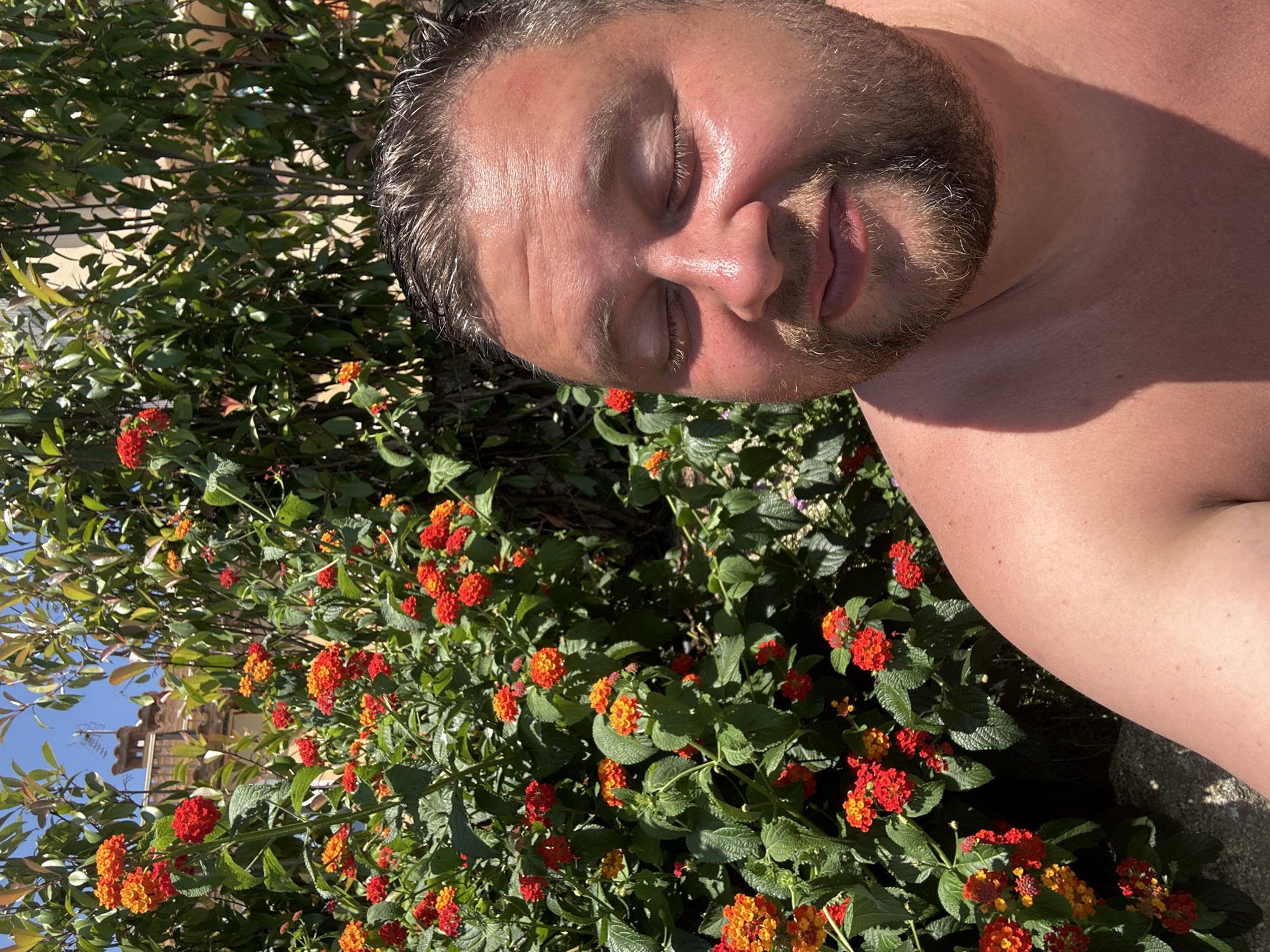An outdoor, close-up, eye-level, medium shot captures a man with his eyes closed, his face tilted upwards towards the sun, basking in the light. He has brown hair, a beard, and appears to be shirtless. His skin is flushed, indicating exposure to the sun. Behind him, a dense bush of vibrant orange and red Lantana flowers is in full bloom. The background also shows glimpses of green foliage and a blurred architectural element with a terracotta roof and a small turret, suggesting an urban or semi-urban setting. The scene is likely Sant Feliu de Guíxols, Spain, given the distinctive architecture and flora. The overall mood is one of relaxed enjoyment of a sunny day.