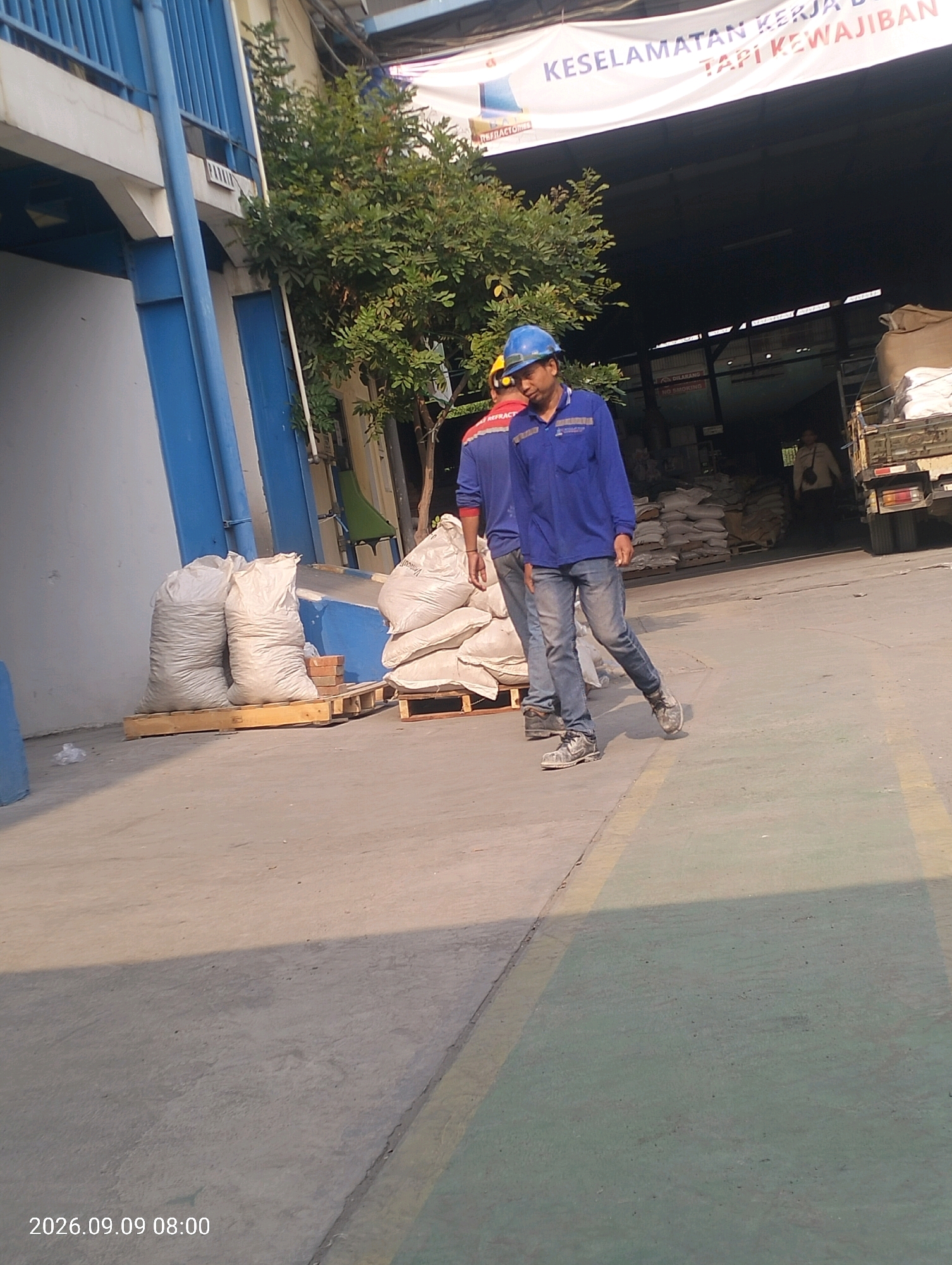 Two men, one in a blue long-sleeved shirt and jeans and the other in a blue shirt with a yellow hard hat, are walking in an industrial outdoor area. The man in the foreground, wearing the blue shirt and jeans, is looking down and to his right as he walks. He has a visible tattoo on his left forearm. Behind him, the other man, also wearing a blue shirt and a yellow hard hat, is partially visible. In the background, large white sacks are stacked on wooden pallets. A truck with a load of sacks is also visible. A banner with Indonesian text is hung overhead. The ground is paved with concrete, and there is a yellow line painted on the ground. The overall scene appears to be within a factory or warehouse complex. The timestamp "2026.09.09 08:00" is visible in the bottom left corner of the image.
