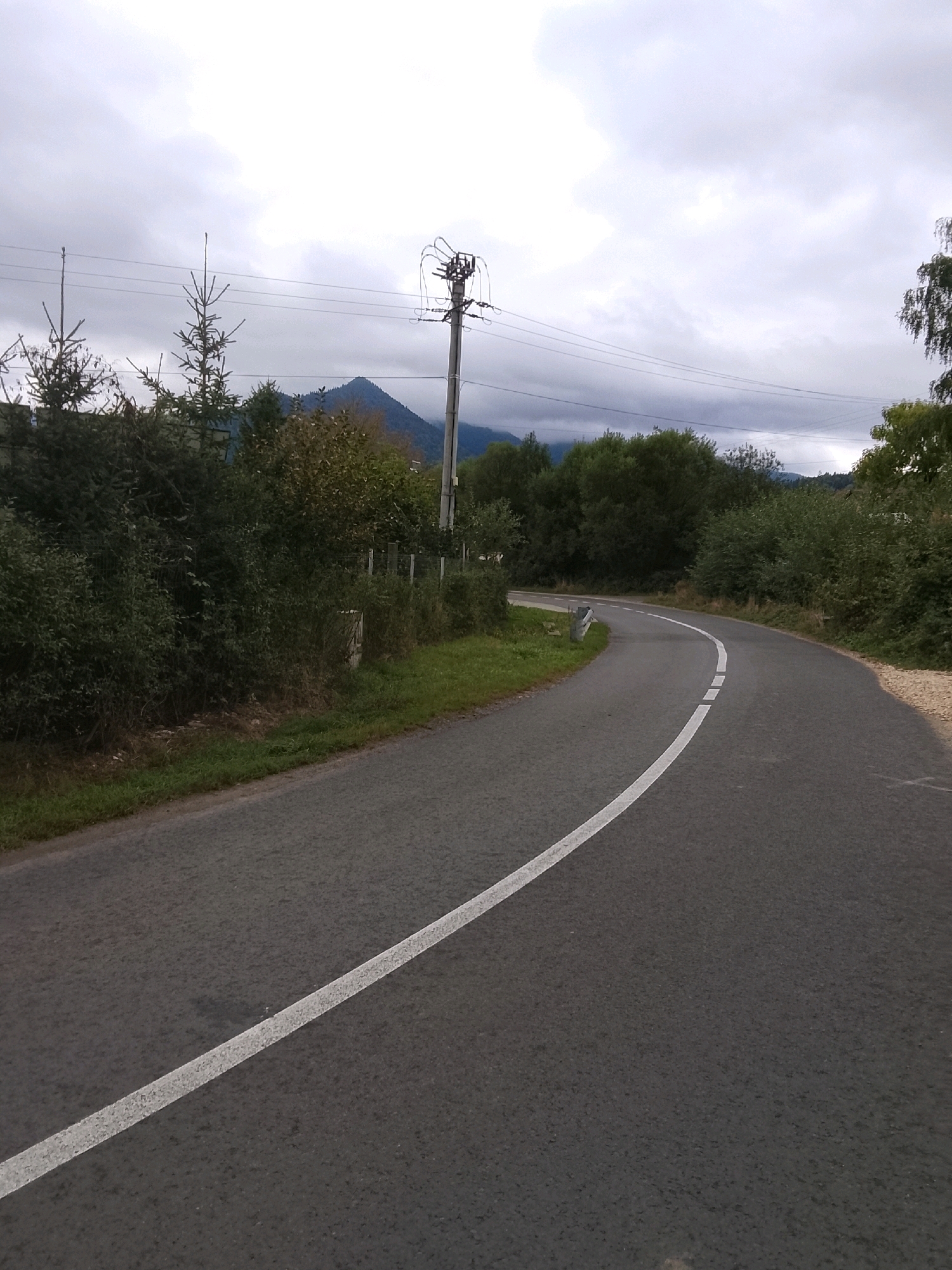 The image shows a winding asphalt road in a rural area, likely near Rasnov, Romania. The road has a white dashed line marking the center. On the left side of the road, there is a grassy verge and dense green foliage. In the background, there are trees and a hazy mountain in the distance. A utility pole with wires is visible on the right side of the road, also surrounded by vegetation. The sky is overcast with gray clouds. The scene appears to be a quiet, natural landscape with signs of infrastructure. There are no people or vehicles visible in the image.