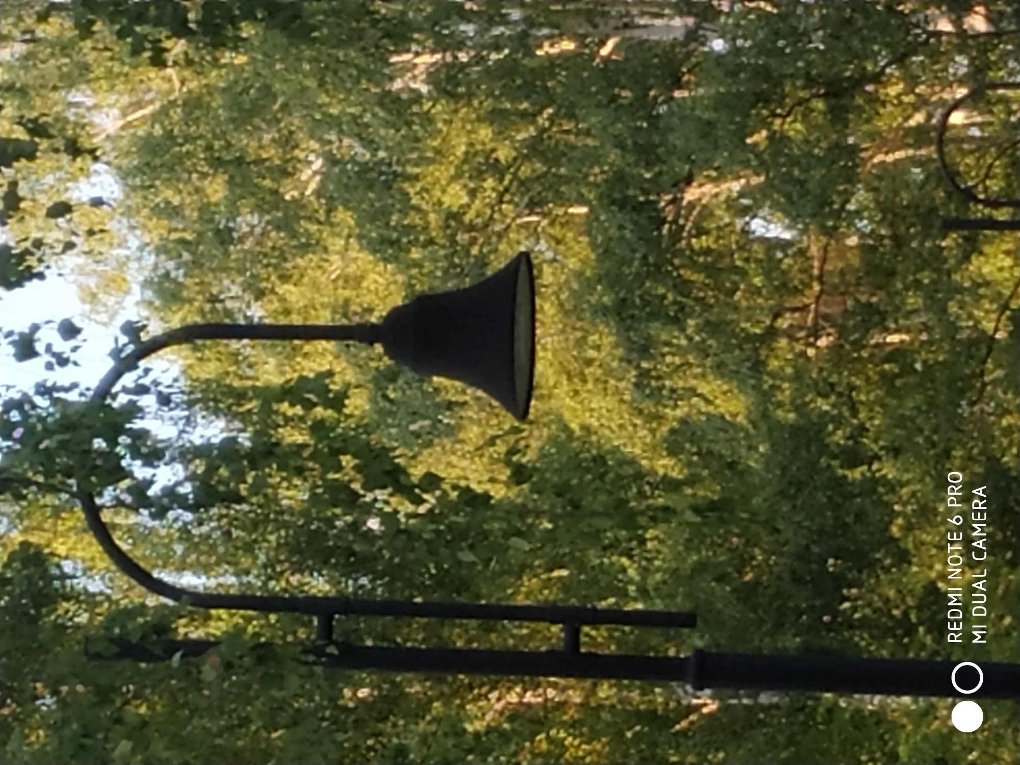 A black lamppost with a curved arm extends upwards on the left side of the frame. A dark, bell-shaped lamp fixture hangs from the end of the arm. The background is filled with lush green trees, some of which are illuminated by sunlight, creating a dappled effect. The lower right corner of the image displays a watermark indicating "REDMI NOTE 6 PRO MI DUAL CAMERA." The image is taken outdoors, likely in a park or a tree-lined street. There is no specific indication of the city of Fryazino, Russia within the image itself.