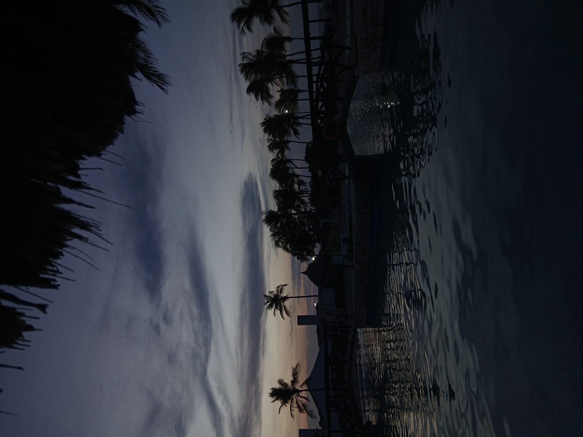 The image depicts a tropical scene at dusk, possibly near a body of water, likely a pool or the ocean, given the presence of waves. The scene is dominated by silhouettes of palm trees against a sky streaked with clouds and hints of orange and purple from the setting sun. A thatched roof structure is visible on the left side of the image. The photograph has a low light level, casting the foreground into shadow. The location, Altagracia, Venezuela, is unconfirmed.