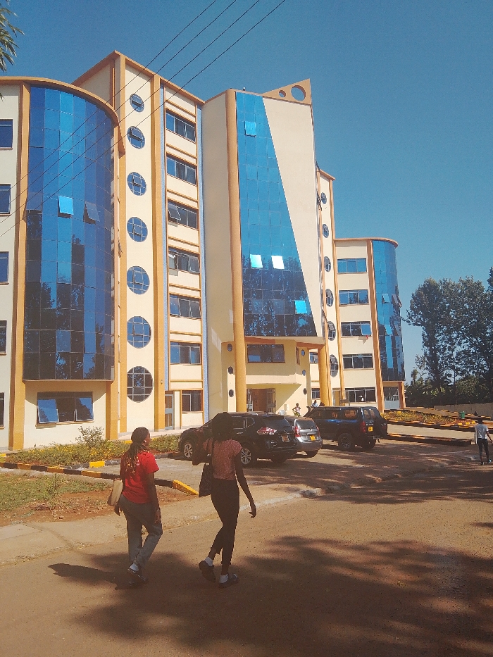The image depicts a multi-story building in Karingani ward, Kenya, under a clear blue sky. The building features a cream-colored facade with prominent dark orange/tan trim, incorporating numerous rectangular windows and several circular windows; many windows are partially open. Extensive sections of the building's exterior are covered with reflective blue-tinted glass panels, some exhibiting minor surface irregularities. Utility lines are visible against the sky in the upper left quadrant.
In the foreground, two individuals walk away from the camera on a paved surface. The individual on the left wears a red top and light-colored pants, carrying a light-colored shoulder bag. The individual on the right wears a patterned light-colored top and dark pants, carrying a dark shoulder bag. Long shadows are cast across the ground from these individuals and the building, indicating direct sunlight.
A paved parking area in front of the building contains several parked vehicles: a dark SUV is positioned towards the left, a second dark SUV is parked further back and to its right, and a light-colored sedan is partially visible behind the first SUV. Additional individuals are present in the mid-ground and background near the building's entrance; one person on the far right is walking towards the left while carrying a white object. The environment surrounding the paved areas includes patches of exposed earth, low vegetation, and mature trees visible in the background on the right.