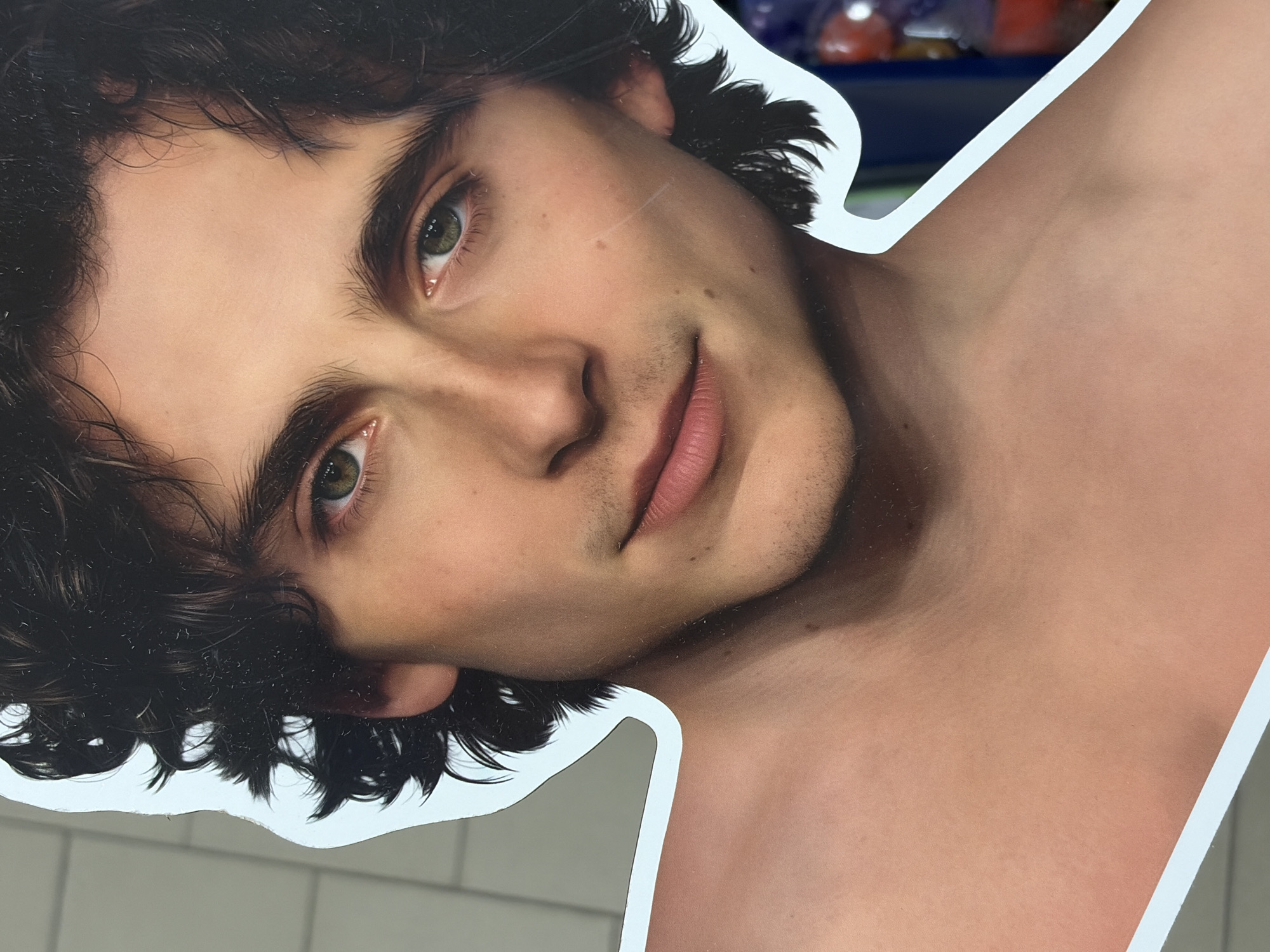 A close-up shot of a cut-out of Timothée Chalamet. The cut-out is of the actor's head, neck, and shoulders. He has dark, curly hair, fair skin, and green eyes. He is looking slightly to the left and has a small smile. The cut-out is white around the edges. The background is out of focus and includes some shelves and a tiled wall. There is no indication this image was taken in Saint Petersburg, Russia.