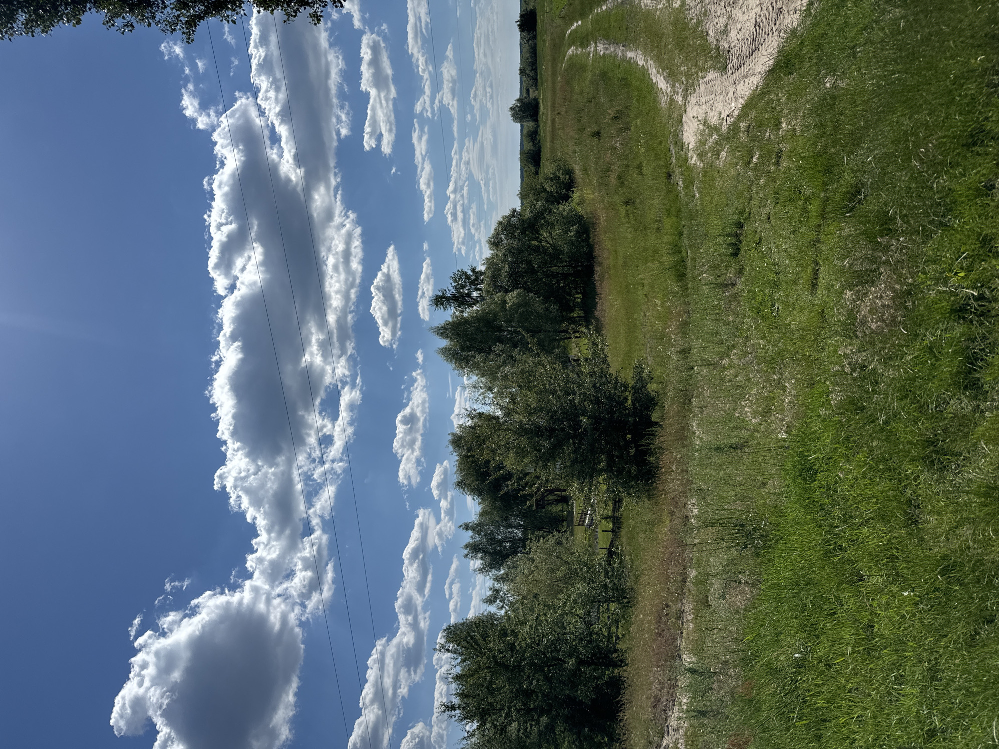 This is a landscape photograph taken outdoors. The image features a vibrant blue sky with scattered white, puffy clouds, characteristic of a sunny day. The sun is visible in the upper left portion of the frame, casting a bright light. Several power lines stretch across the sky, running diagonally through the frame from top left to bottom right.
In the lower half of the image, there is a grassy field with some sparse trees and bushes. A dirt path, with tire tracks, curves through the field from the top right towards the center. The greenery suggests it's daytime, likely late morning or afternoon, given the brightness of the sun and the clear sky. The overall impression is one of a rural or natural setting, possibly in a field or meadow. There are no people or explicit objects other than the natural elements and the power lines. The image appears to be taken in Dovhe, Ukraine.