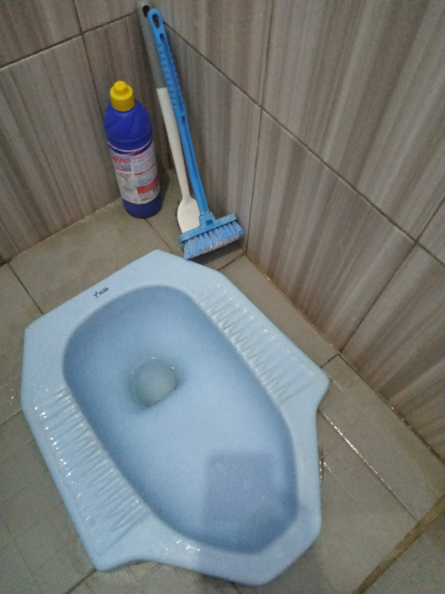 In a bathroom with beige tiled walls and light brown tiled floor in Sumbergirang, Indonesia, a light blue squat toilet is visible. Next to the toilet, on the floor, is a blue and white bottle of cleaning solution. A blue and white toilet brush lies on the floor beside the cleaning bottle.