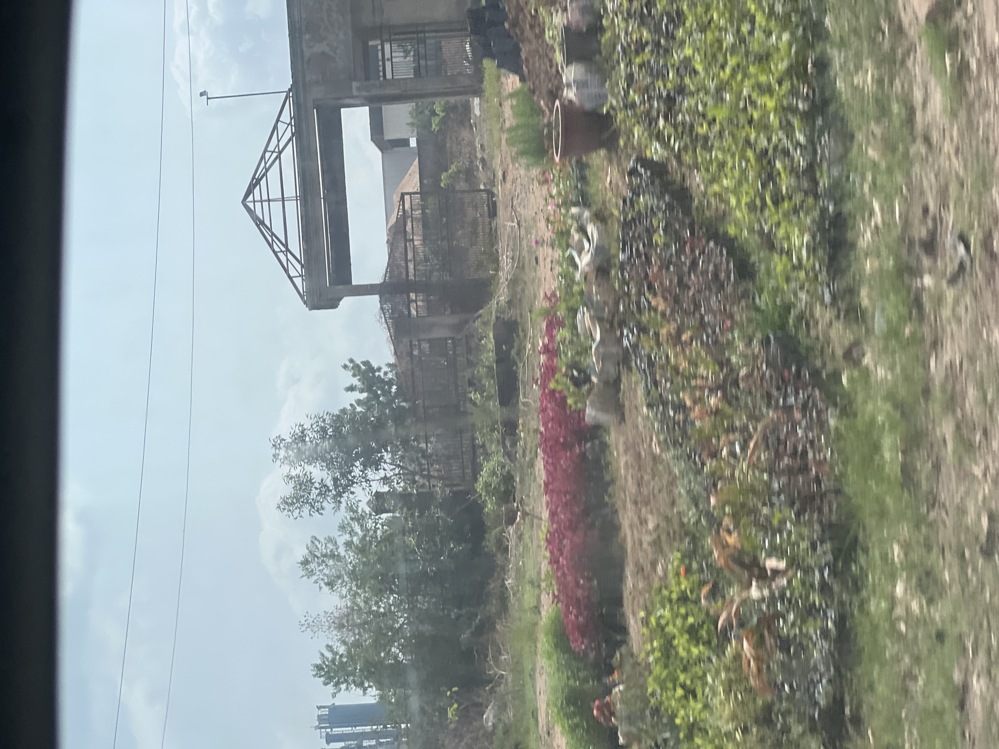 The image displays an outdoor scene in Karmajiji, Nigeria, captured during bright daylight under a clear, light-blue sky with some faint clouds. The photograph appears to be taken from inside a vehicle, as indicated by a dark, vertical frame partially obscuring the left edge of the view.
In the background, a large, weathered concrete or stone structure dominates the upper right, featuring a distinctive triangular metal framework on its roof, suggesting it might be an unfinished building or part of an industrial complex. Behind it, another building is partially visible. Several power lines stretch horizontally across the sky in the mid-background. Further to the far left in the background, a tall, multi-level industrial structure with a dark silhouette can be seen.
The mid-ground and foreground are characterized by abundant vegetation. A prominent bed of vibrant red and pink flowering plants stretches across the right half of the image, alongside various shades of green foliage and patches of dry ground. A large, brown, cylindrical pot rests on the ground amidst the plants. Several trees are scattered throughout the scene, with their green canopies visible. No specific human activity or people are visible in the static landscape. There is no discernible text within the image.