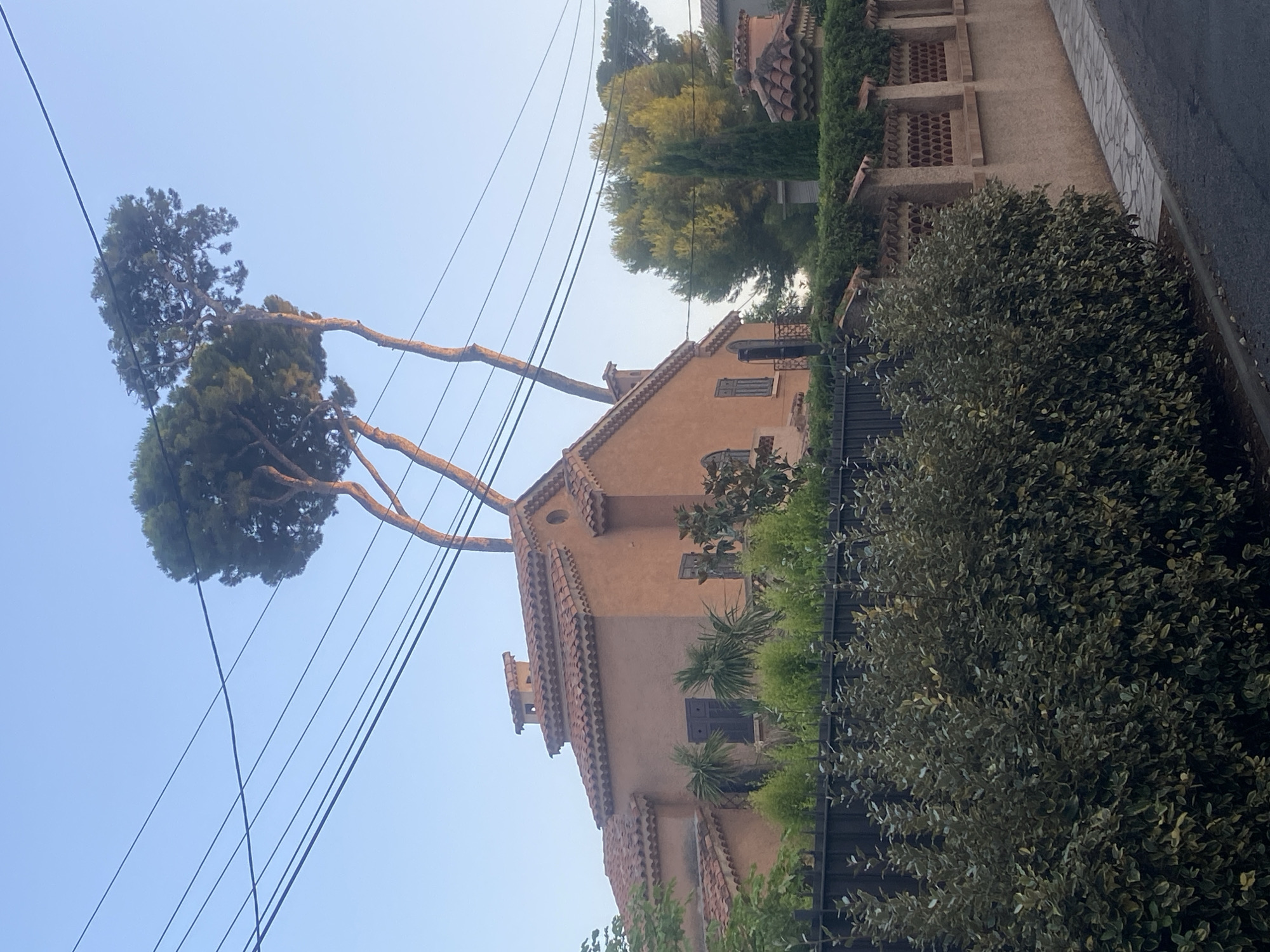A residential house with a terracotta tiled roof is visible behind a dark metal fence and a dense green hedge. Several tall pine trees with thin trunks and sparse foliage grow to the right of the house, with their branches reaching over the roof and towards power lines that stretch across the sky. The house has a stucco facade painted in a warm, sandy color and features dark shutters on its windows. Further to the right, a manicured hedge lines a decorative wall made of bricks and stucco. The scene is illuminated by the soft light of what appears to be early morning or late afternoon.