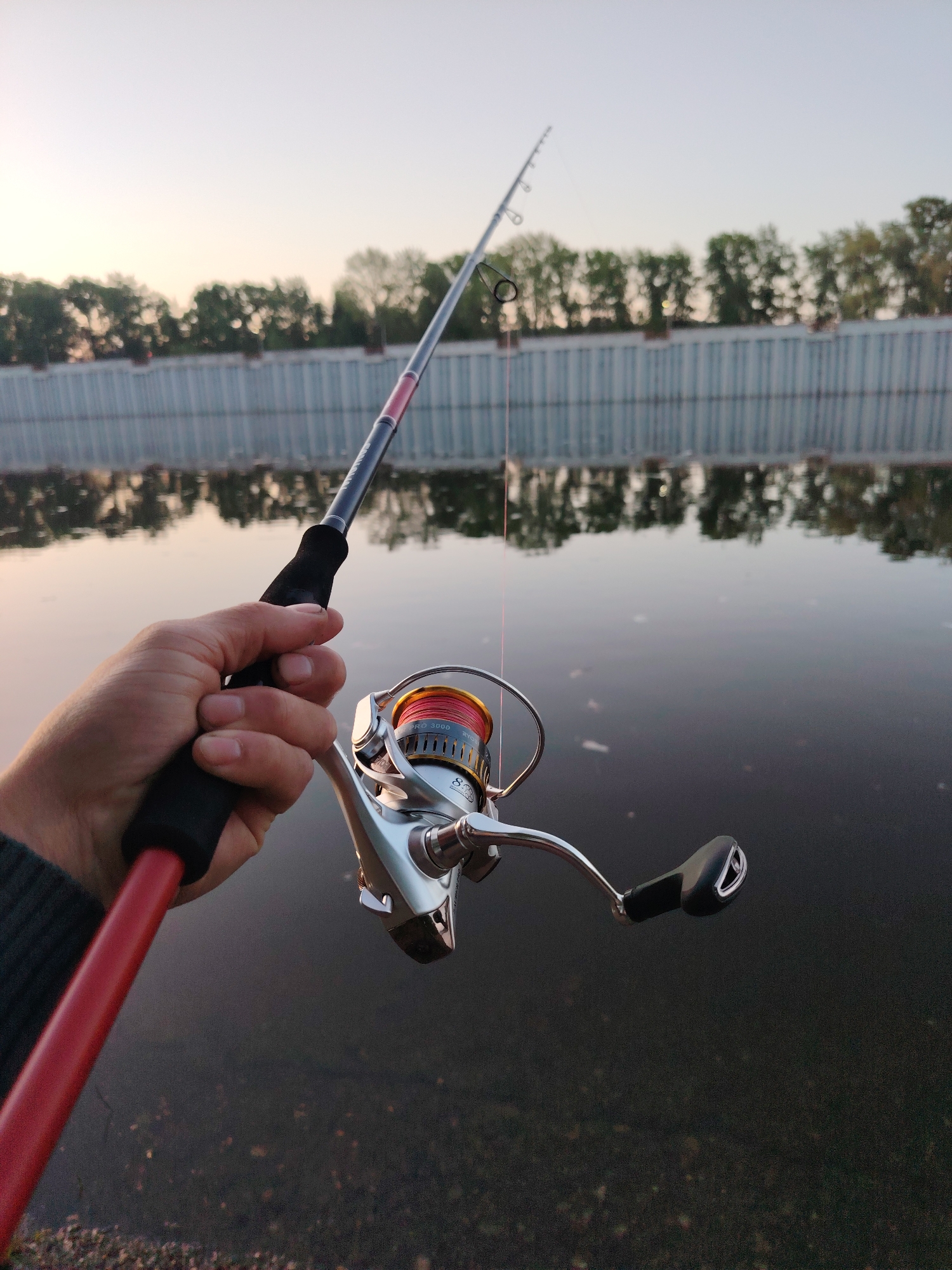A person is holding a fishing rod and reel next to a body of water. The rod is red and black with a silver reel. The fishing line is visible extending into the water. In the background, there is a concrete embankment with trees lining the top. The water is dark and reflects the embankment and trees. The sky is light and appears to be at dusk or dawn. This image appears to have been taken on the shore of a body of water in the city of Chaikovsky, Russia.