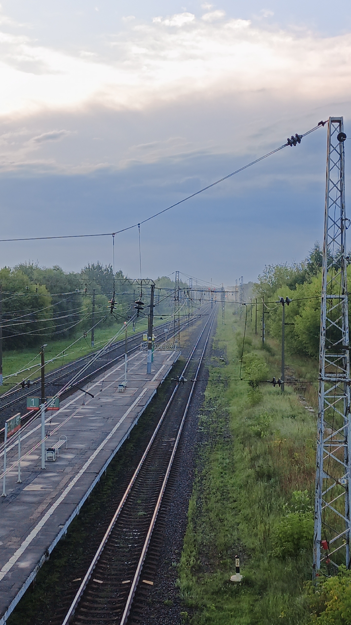 This is a high-angle, medium shot of a train station and tracks in Drezna, Russia, under an overcast sky. The scene depicts multiple railway tracks that recede into the distance, flanked by lush green vegetation. A concrete platform with white lines is visible on the left, featuring a bench. Overhead, a complex network of electrical wires and supporting poles for the railway catenary system dominates the sky. In the foreground, a tall, metal lattice structure with various electrical components stands to the right. The overall atmosphere is subdued, with muted colors characteristic of cloudy weather. There are no people visible in the image.