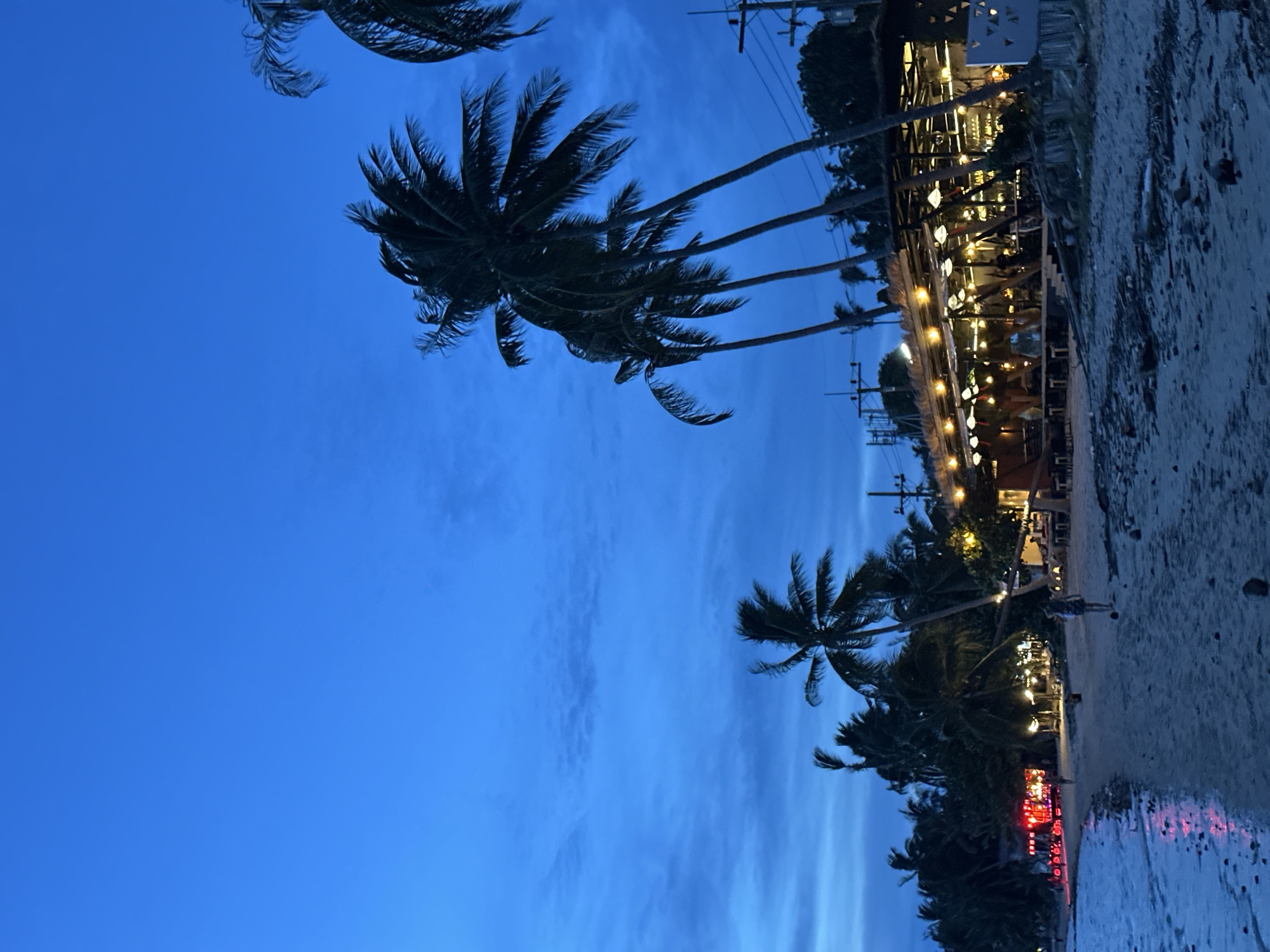 The image depicts a beach scene at dusk in the Ko Pha-ngan District, Thailand. The sky is a deep blue, with hints of lighter blue and scattered clouds. Several palm trees, silhouetted against the sky, are prominent in the foreground and midground. On the beach, a sandy area stretches along the shoreline, with the ocean visible to the left.
Along the beach, there is a long, open-air structure with a thatched roof, illuminated by numerous lights. This structure appears to be a restaurant or bar, with tables and chairs visible. People are scattered throughout this area, some seated at tables, others standing. Further to the left, a stage with red lighting is set up, and a few individuals are present. A lone figure walks along the beach away from the water, and another person is seen walking near the restaurant. Debris, such as branches and leaves, is scattered on the sand. Electrical poles and wires are visible behind the restaurant, suggesting proximity to a developed area. The overall atmosphere is one of a lively evening on a tropical beach.