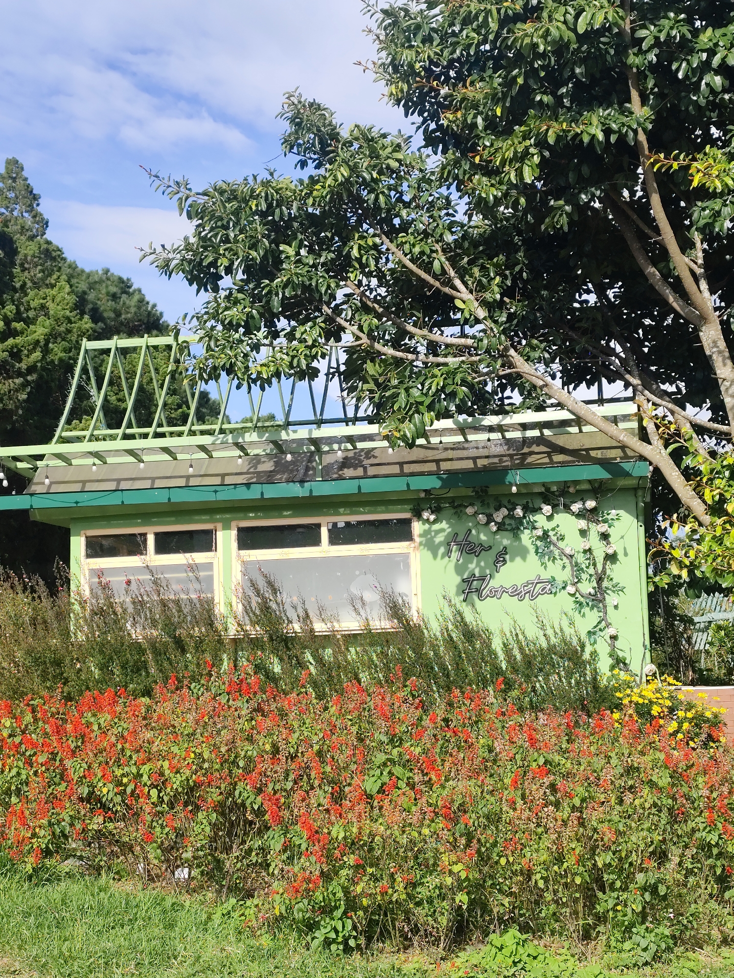 A light green building with a green roof and an angled green lattice structure above it is partially obscured by trees and bushes. The building has two large windows with cream-colored frames. A decorative vine with white roses is twined around the right side of the building, forming the words "Her & Floresta". In front of the building, there is a dense hedge of red flowers with green foliage, and further in front, a patch of green grass. In the background, there are tall green trees. The sky is blue with scattered white clouds. The scene appears to be outdoors in a garden or park setting.