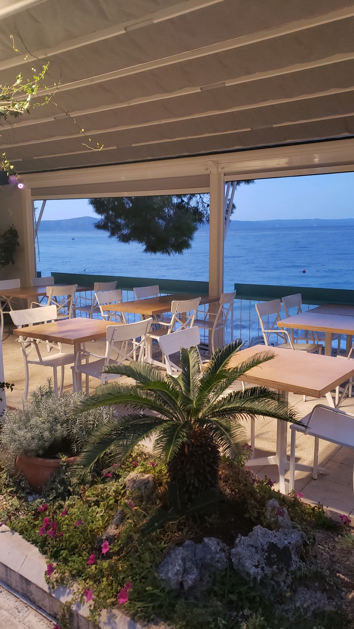 An outdoor seating area of a restaurant or cafe is depicted, overlooking the Adriatic Sea in Općina Tučepi, Croatia. The scene is set in the early evening, with dim lighting and a serene atmosphere. White tables and chairs are arranged under a covered patio, offering a clear view of the tranquil sea and distant islands. A small palm tree and various plants are situated in the foreground, adding a touch of natural beauty to the setting. The overall impression is one of a peaceful and inviting dining experience by the coast.