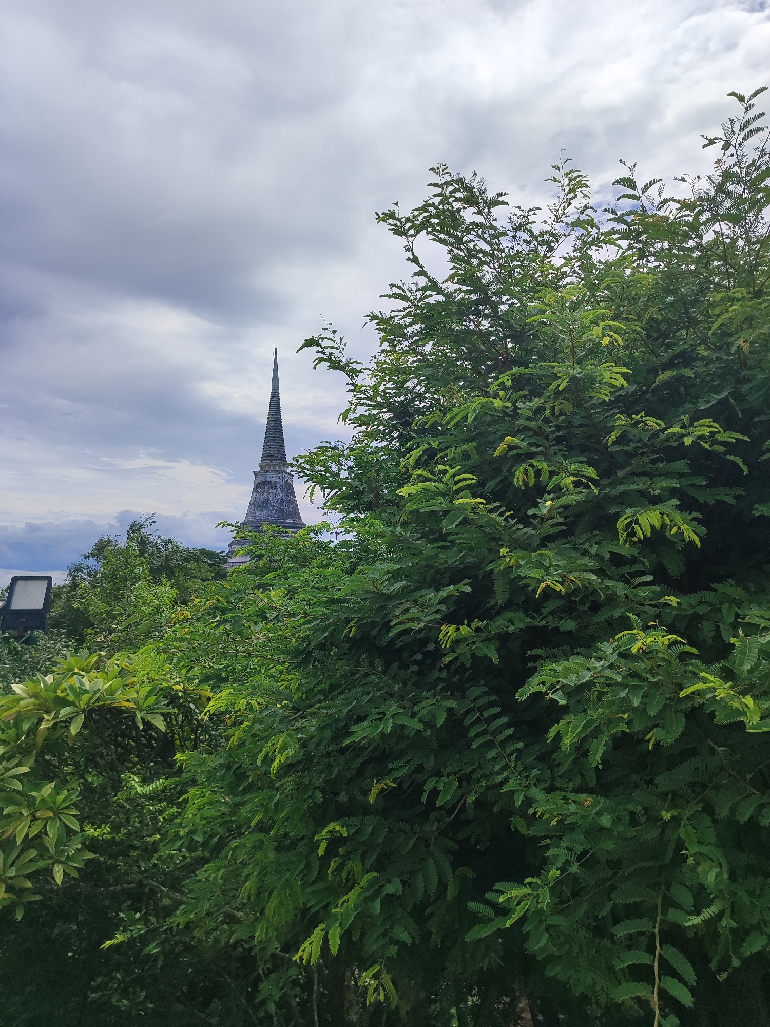 The image captures a view of the temple Wat Phra But at Khao Wang (Phra Nakhon Khiri) in Phetchaburi, Thailand, seen through lush green foliage. In the foreground, a dense cluster of trees with vibrant green leaves dominates the right side of the frame. The leaves appear feathery and are varied in shade, suggesting different types of plants or varying sunlight exposure.

Behind the foliage, a tall, conical stupa, characteristic of Thai Buddhist architecture, rises against a cloudy sky. The stupa is weathered, with visible texture and discoloration on its surface, and is topped by a finial. To the left of the stupa, a portion of what appears to be a spotlight or a floodlight fixture is visible, mounted on a pole, peeking out from behind some of the greenery. The sky is overcast with a mix of grey and lighter clouds, indicating diffused daylight. The overall impression is one of a natural, slightly overgrown setting within a historical and religious site.