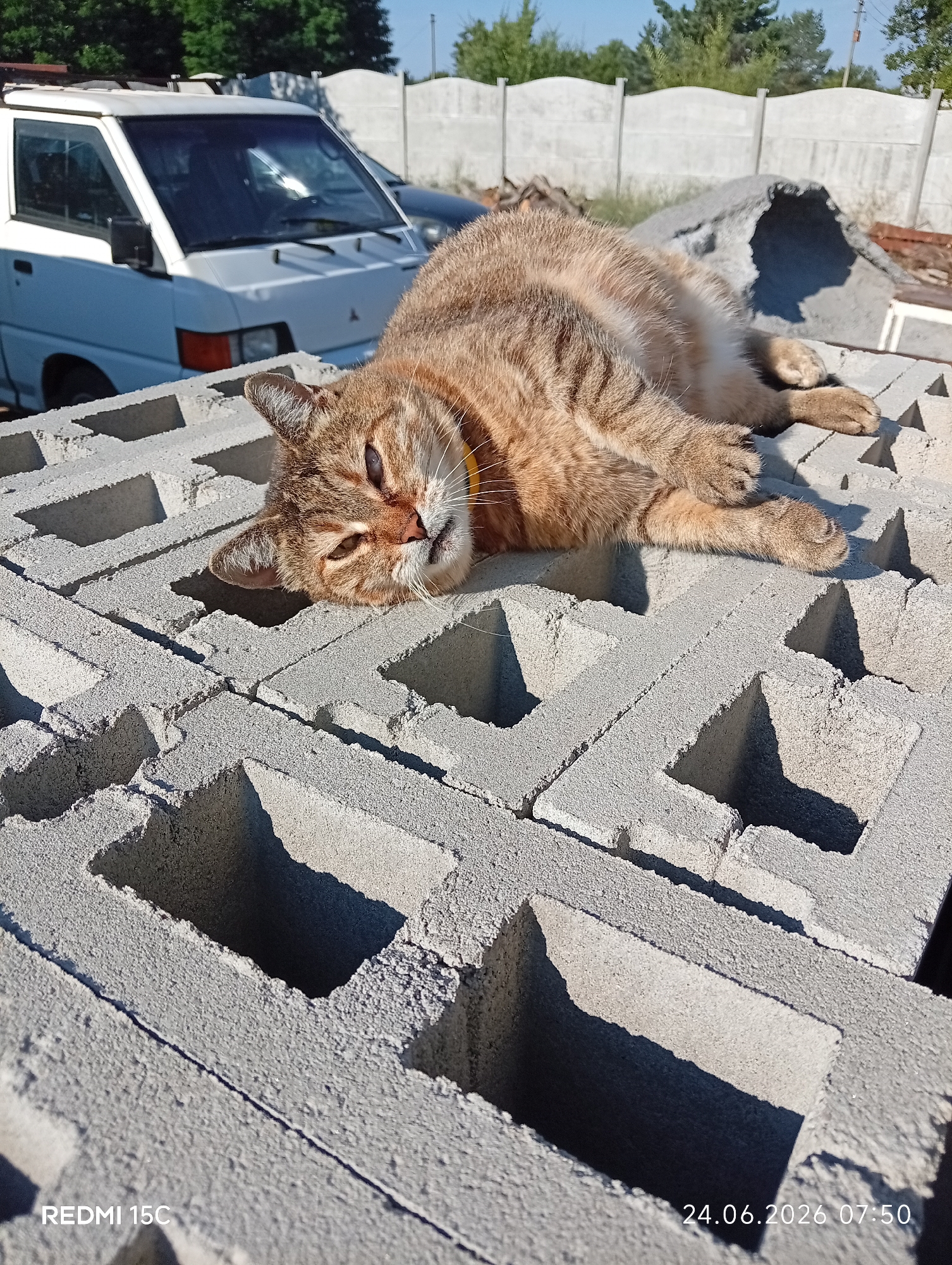 An adult, short-haired tabby cat is lying on its side on a stack of grey concrete blocks. The cat has light brown fur with darker tabby stripes. It is wearing a yellow collar. The cat's eyes are mostly closed, and its face is tilted upwards. The background of the image shows a white van, a concrete fence, and trees. The scene appears to be outdoors in a sunny environment. The timestamp "24.06.2026 07:50" and the text "REDMI 15C" are visible in the lower corners of the image. The location is identified as Mykolaivka, Ukraine.